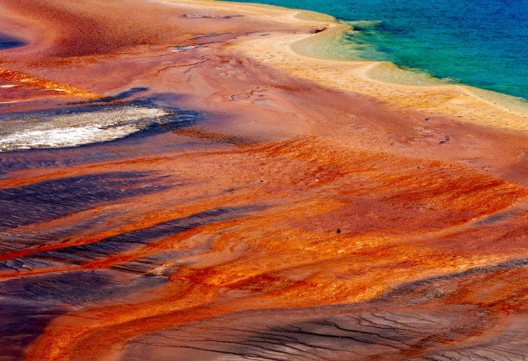 【盐湖城出发4日游】陆地商务舱|10人小团 【保证入住黄石公园内2晚酒店】黄石国家公园+大提顿国家公园4日游