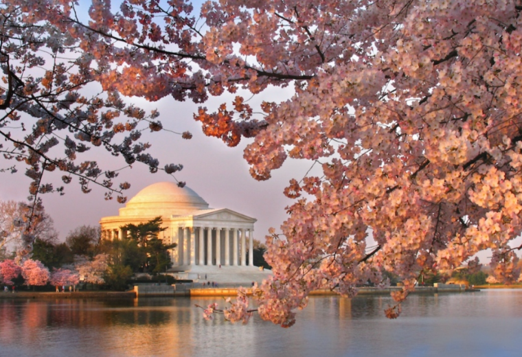 【纽约出发2日游】纽约往返 | 华盛顿特区赏樱+史密森尼国家动物园+亚历山大老城2日游