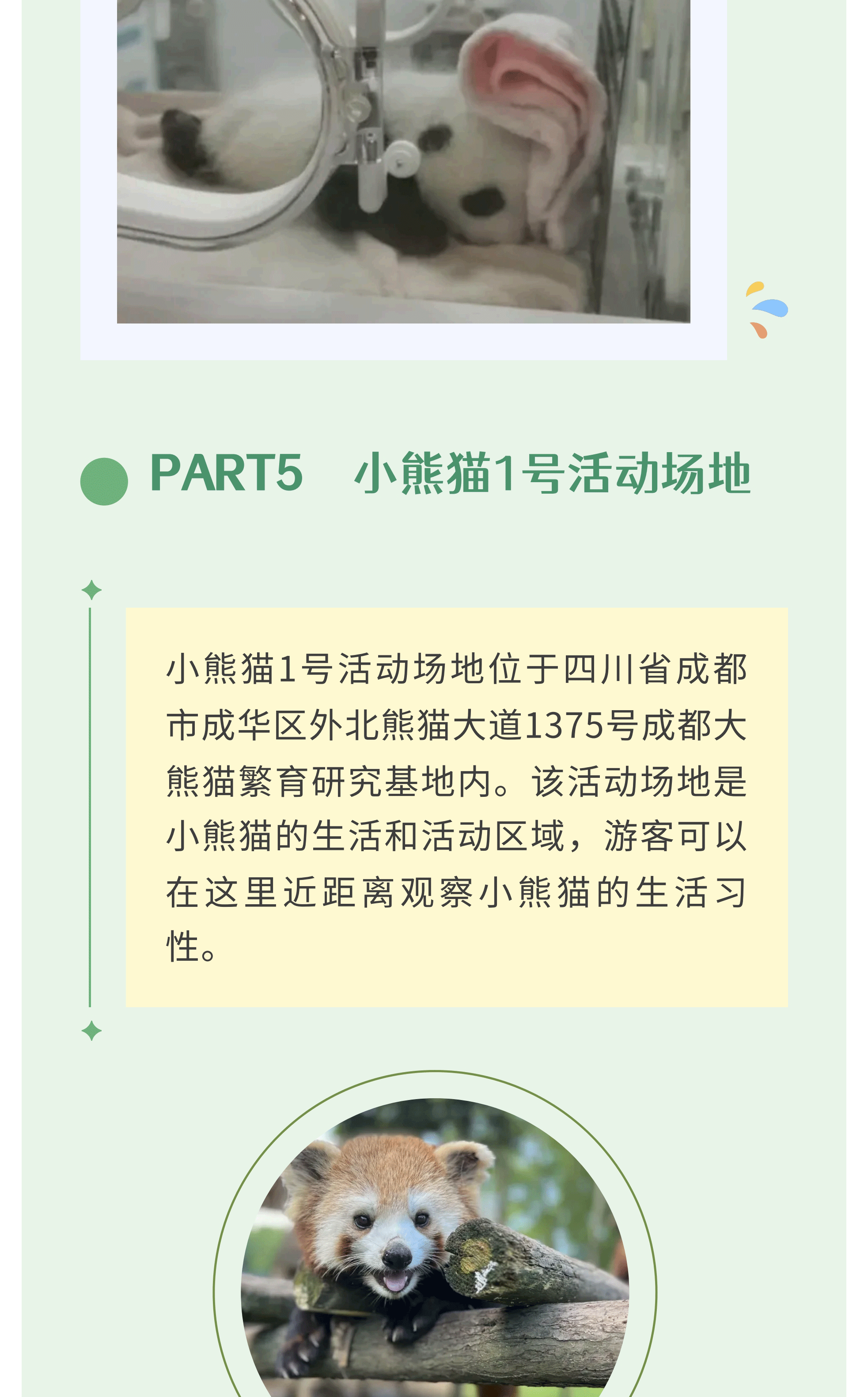 熊猫艺术家12_11