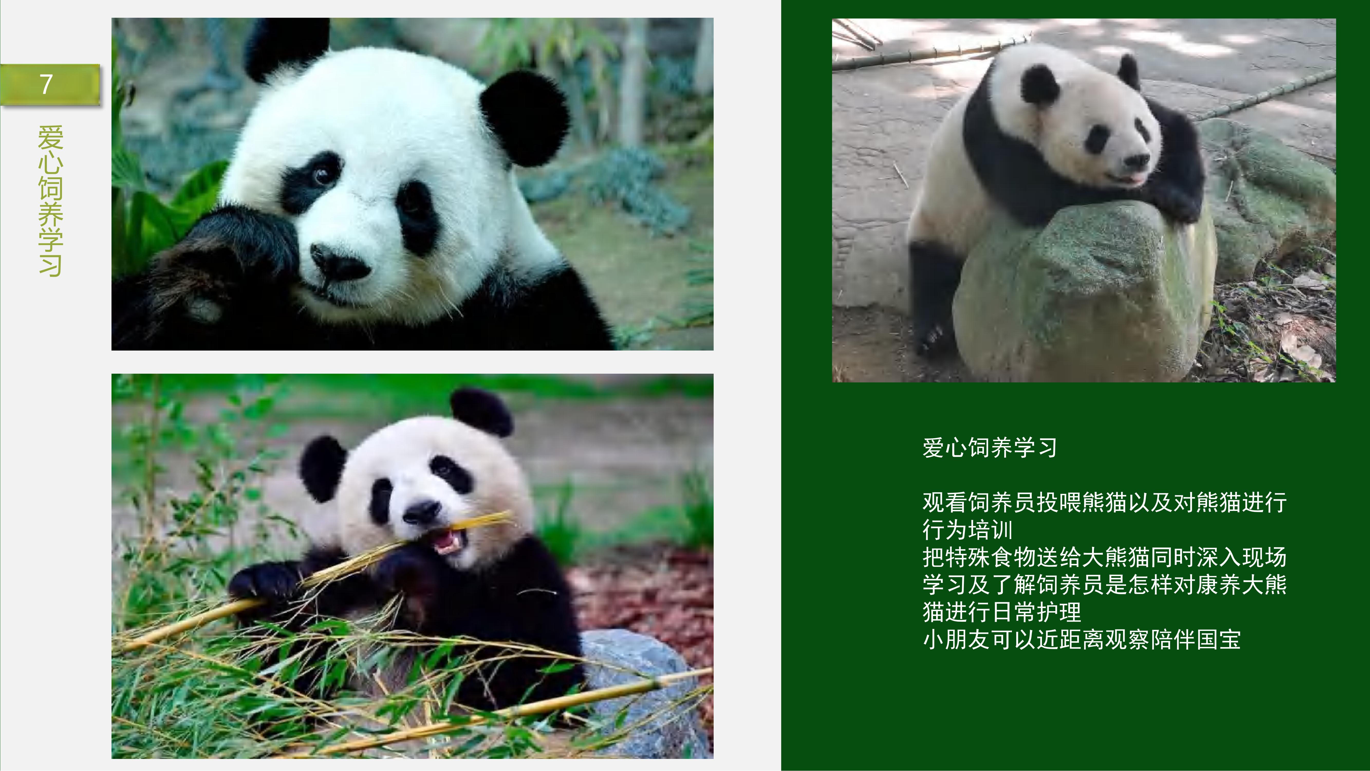 熊猫义工单日营_06