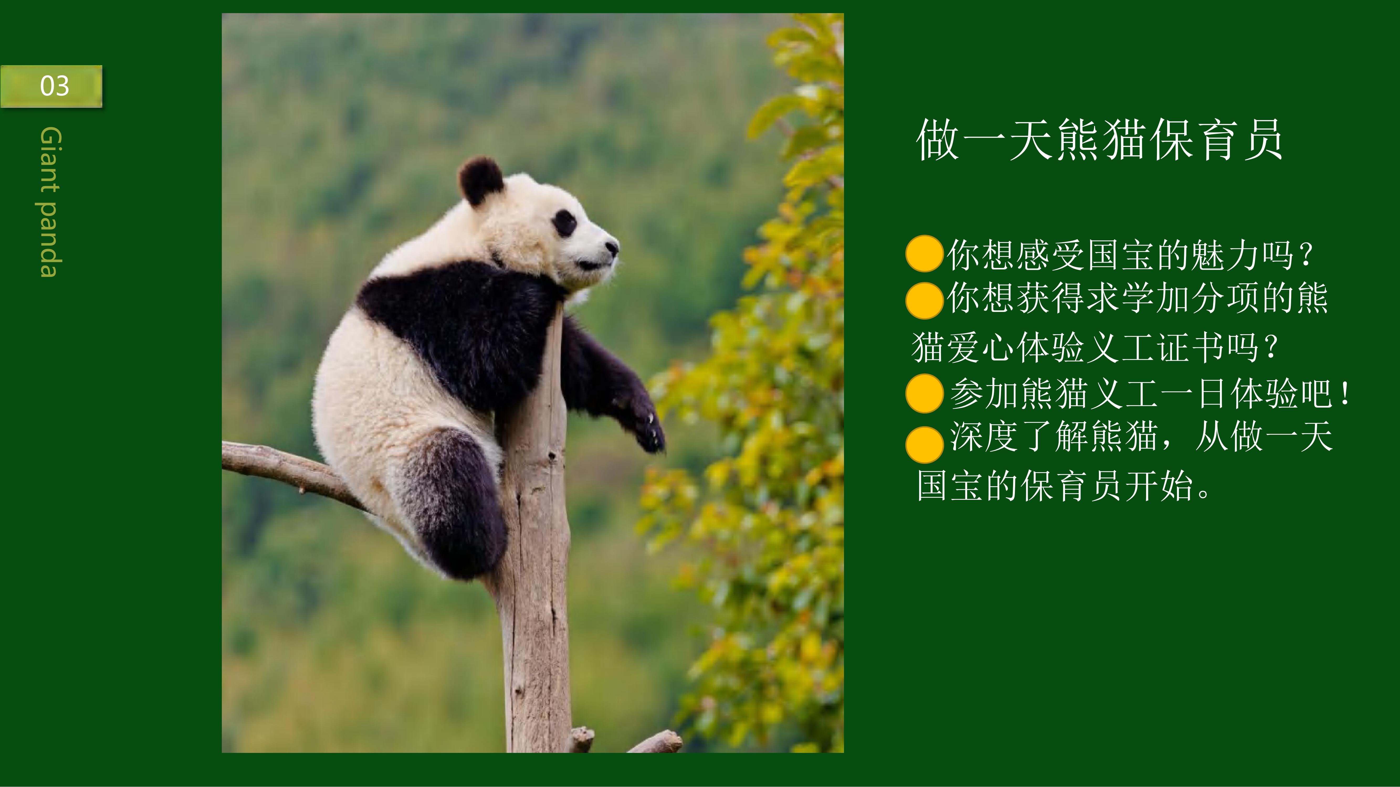 熊猫义工单日营_02