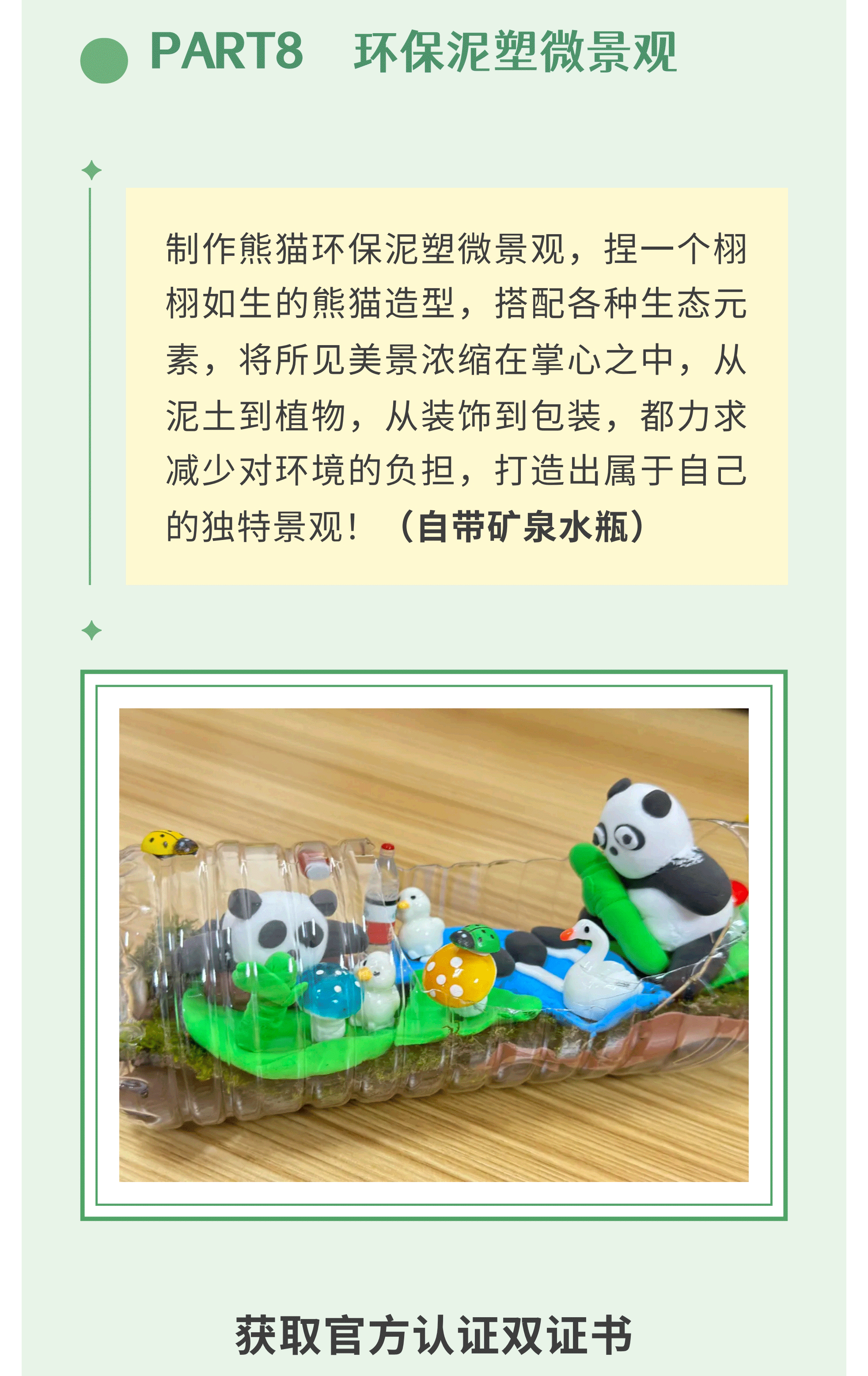 熊猫艺术家12_15