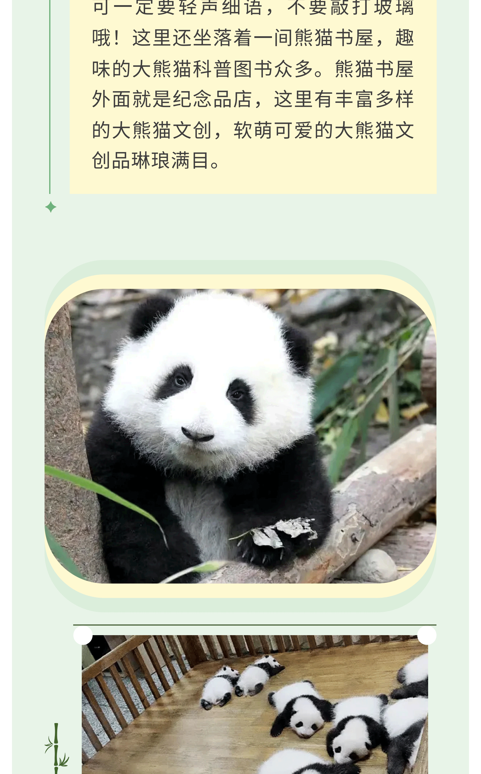 熊猫艺术家12_09