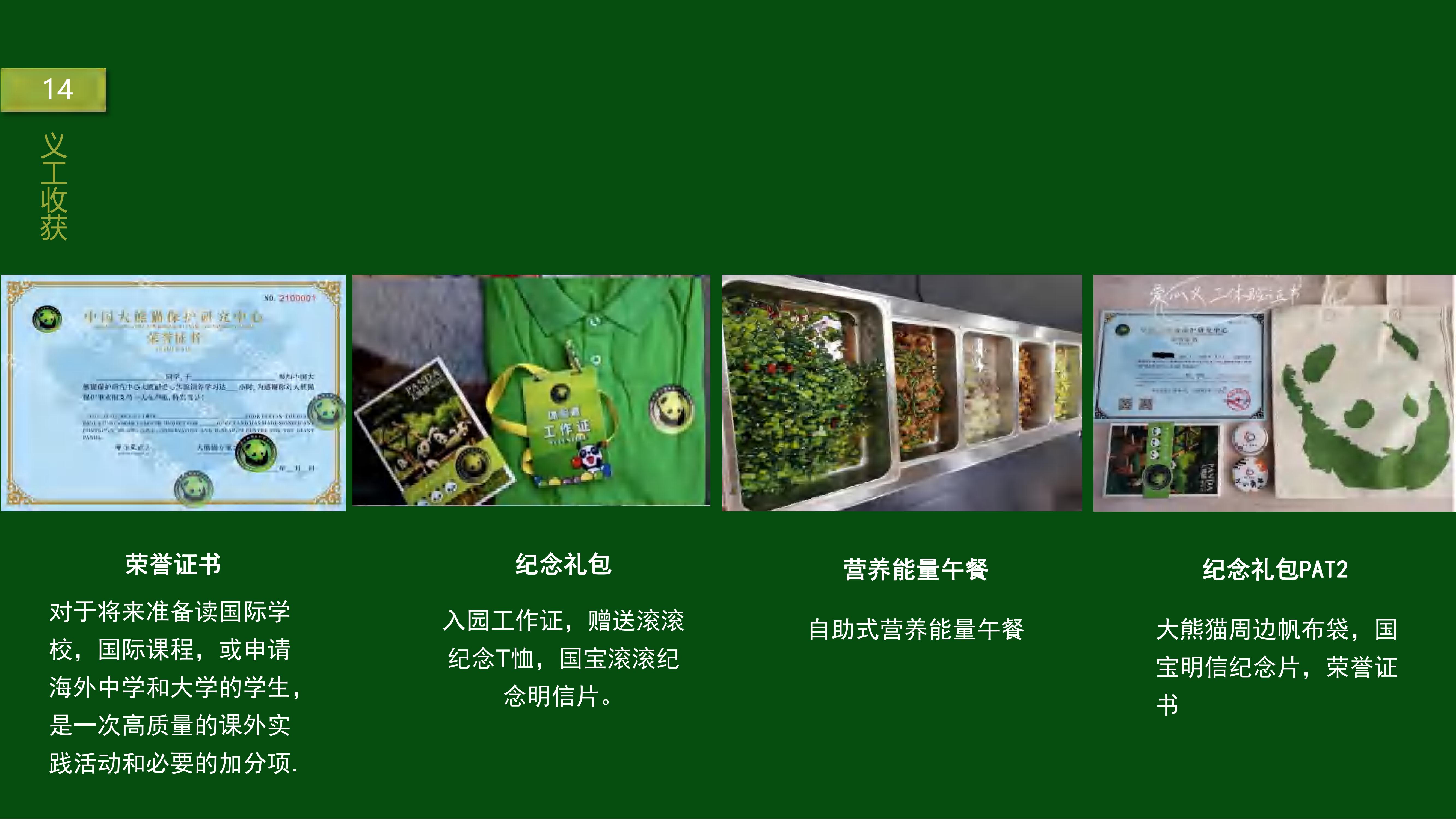 熊猫义工单日营_13