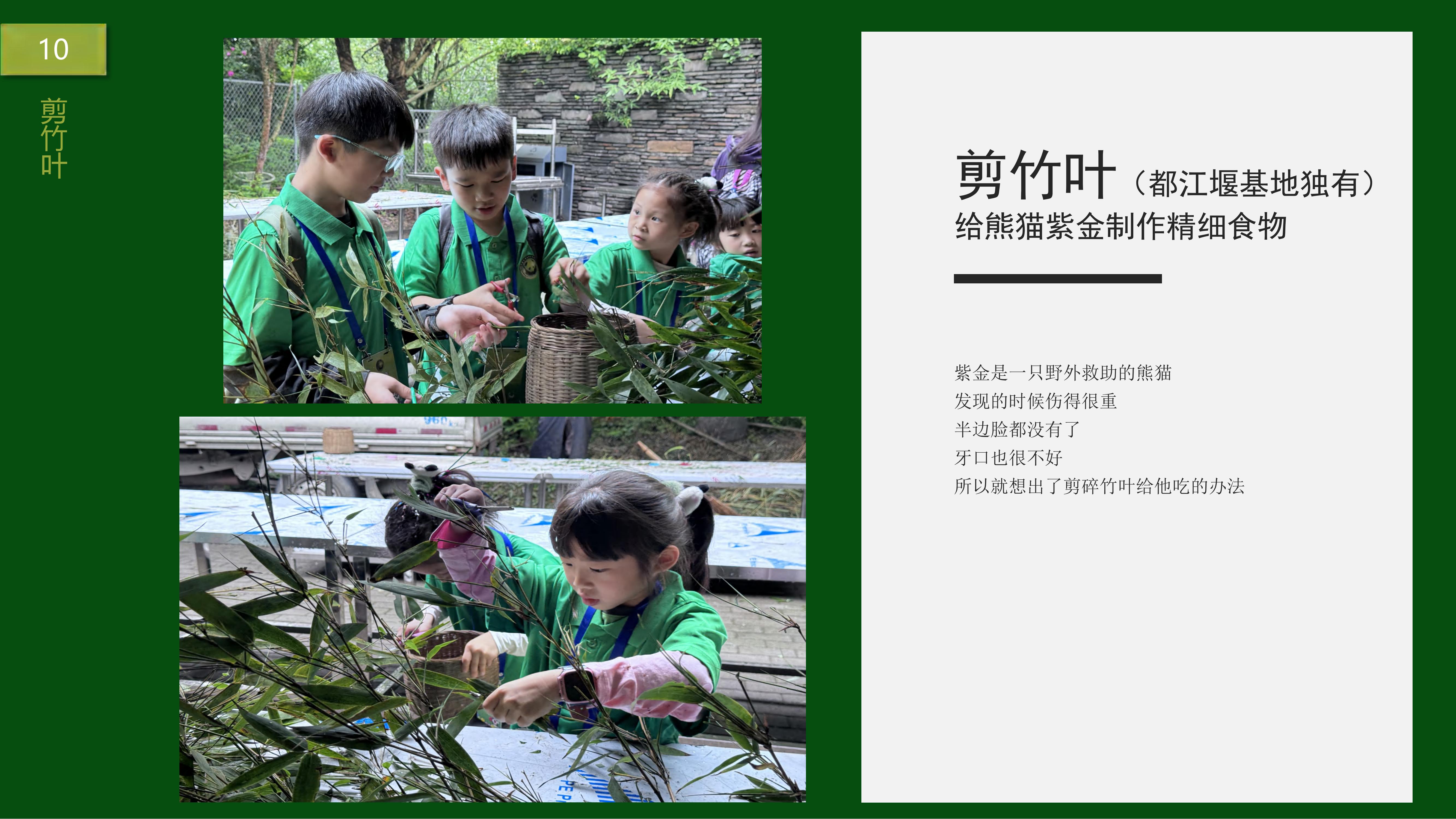 熊猫义工单日营_09