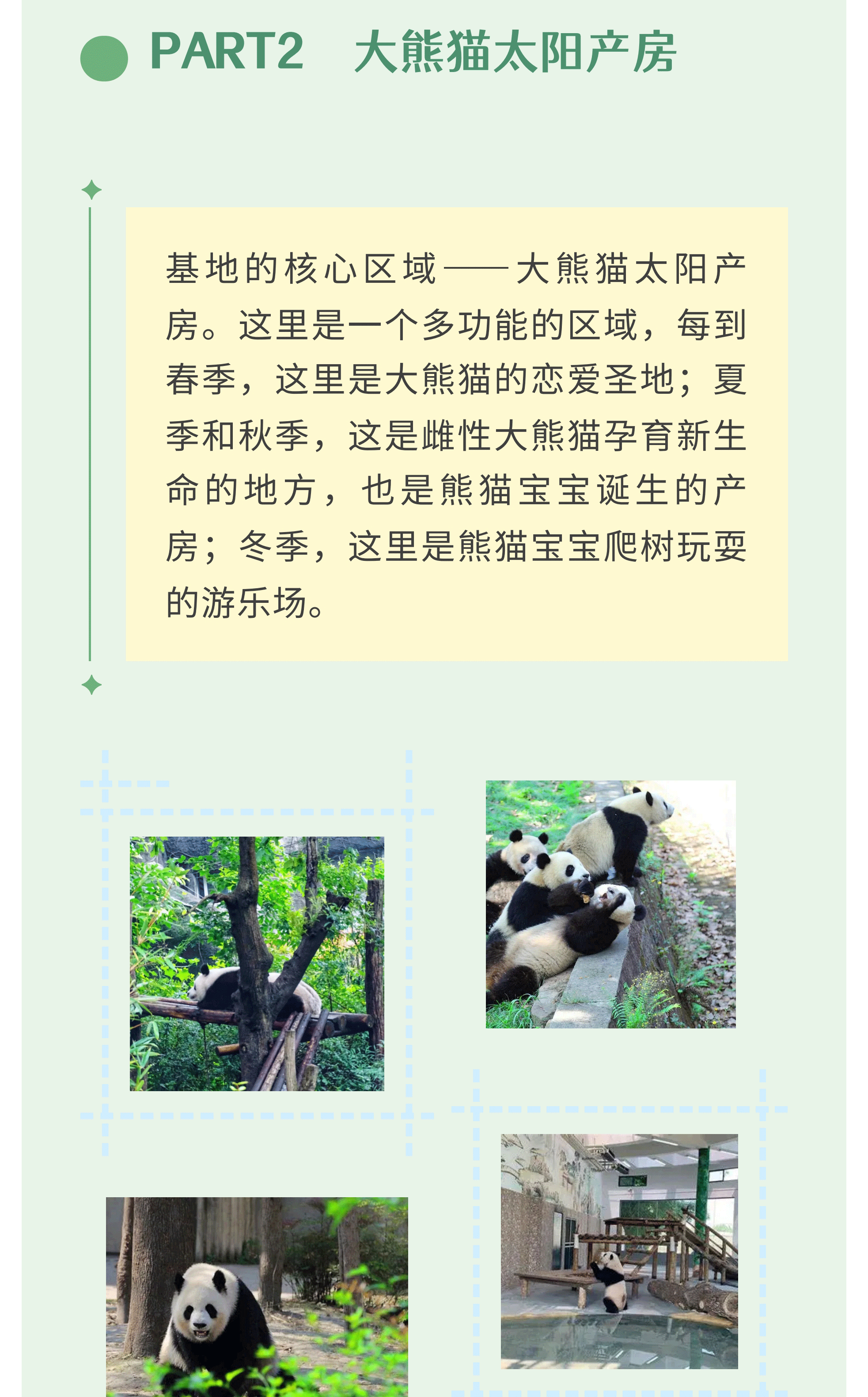 熊猫艺术家12_06_1