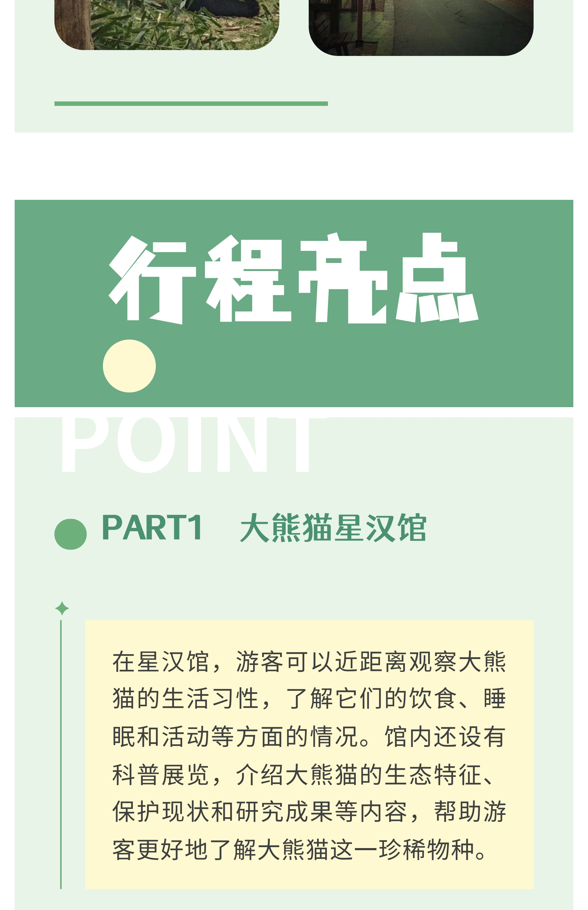 熊猫艺术家12_05