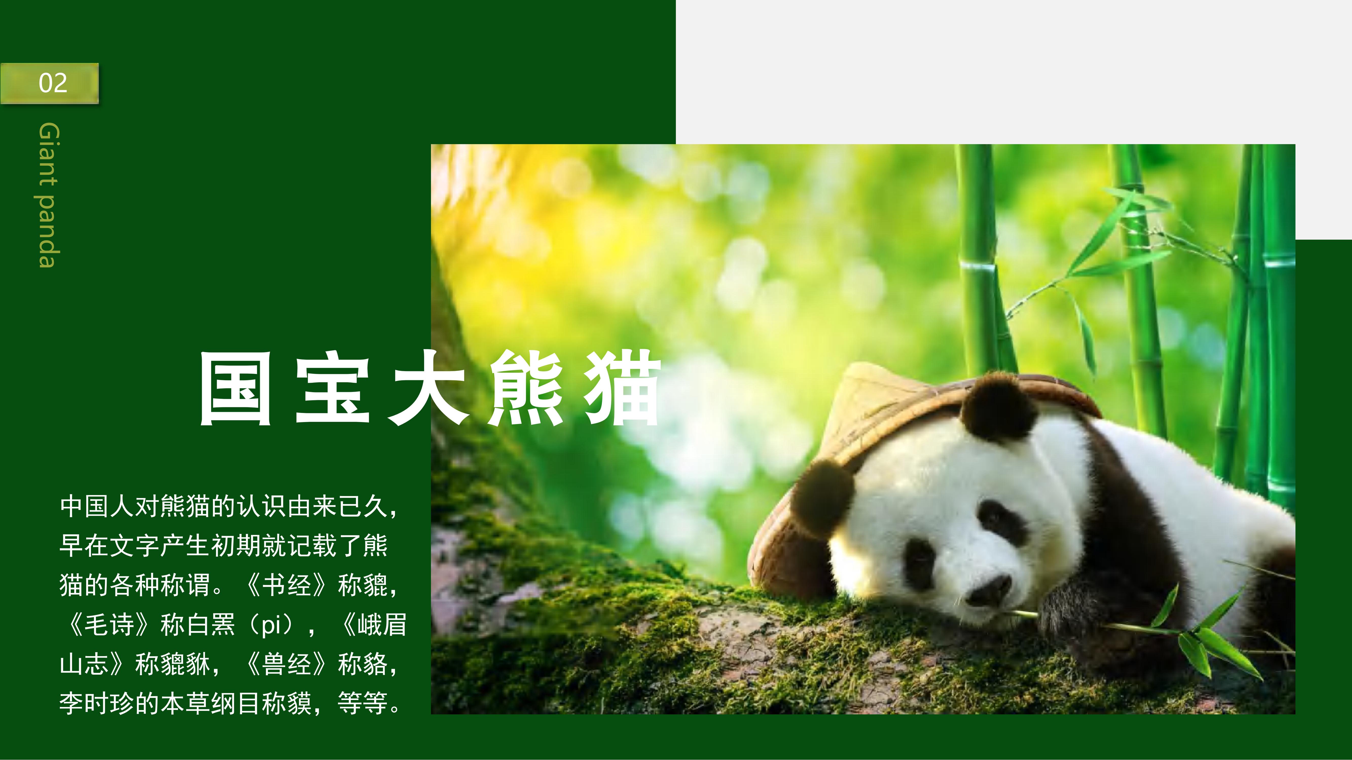 熊猫义工单日营_01
