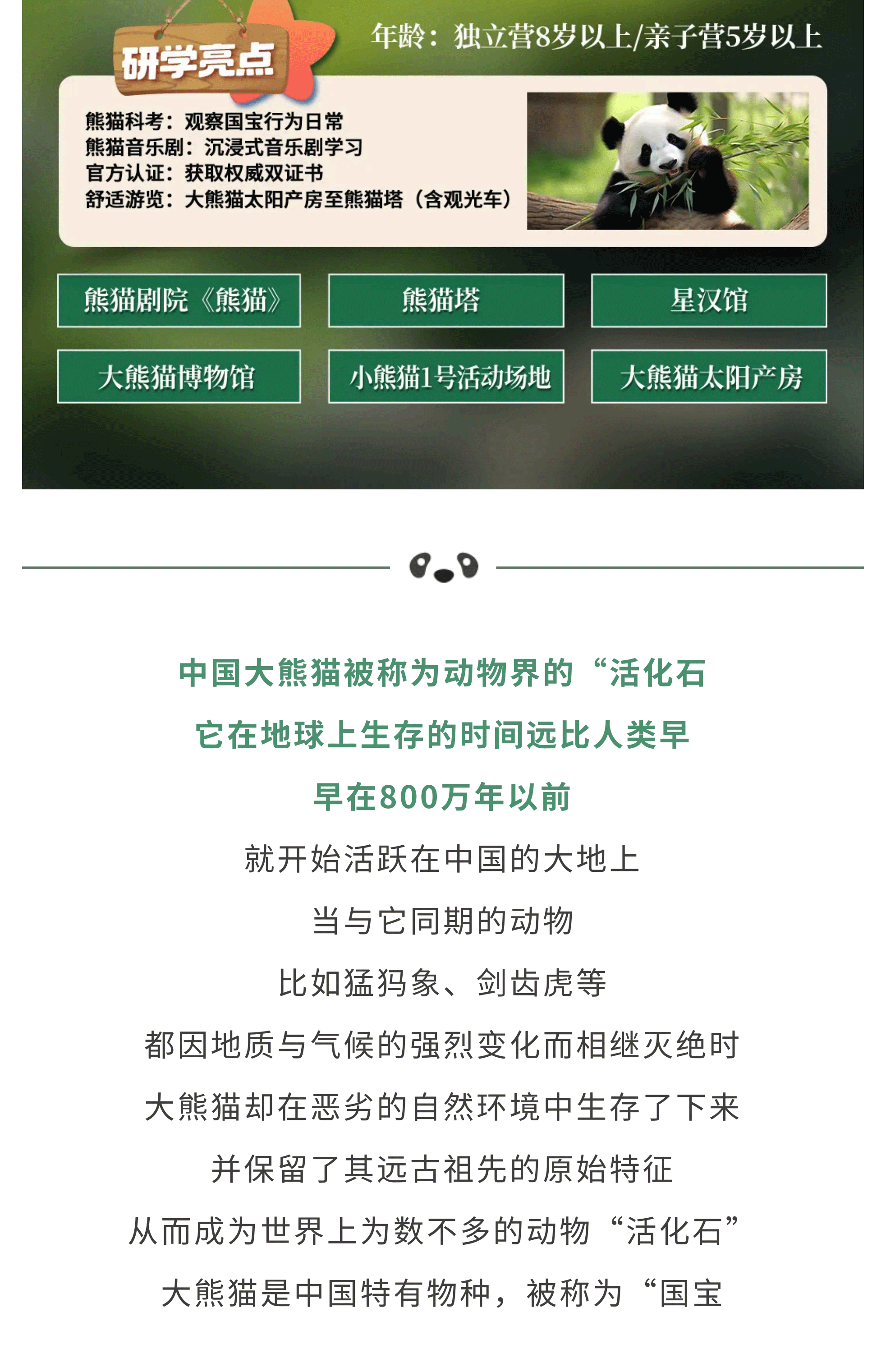 熊猫艺术家12_02