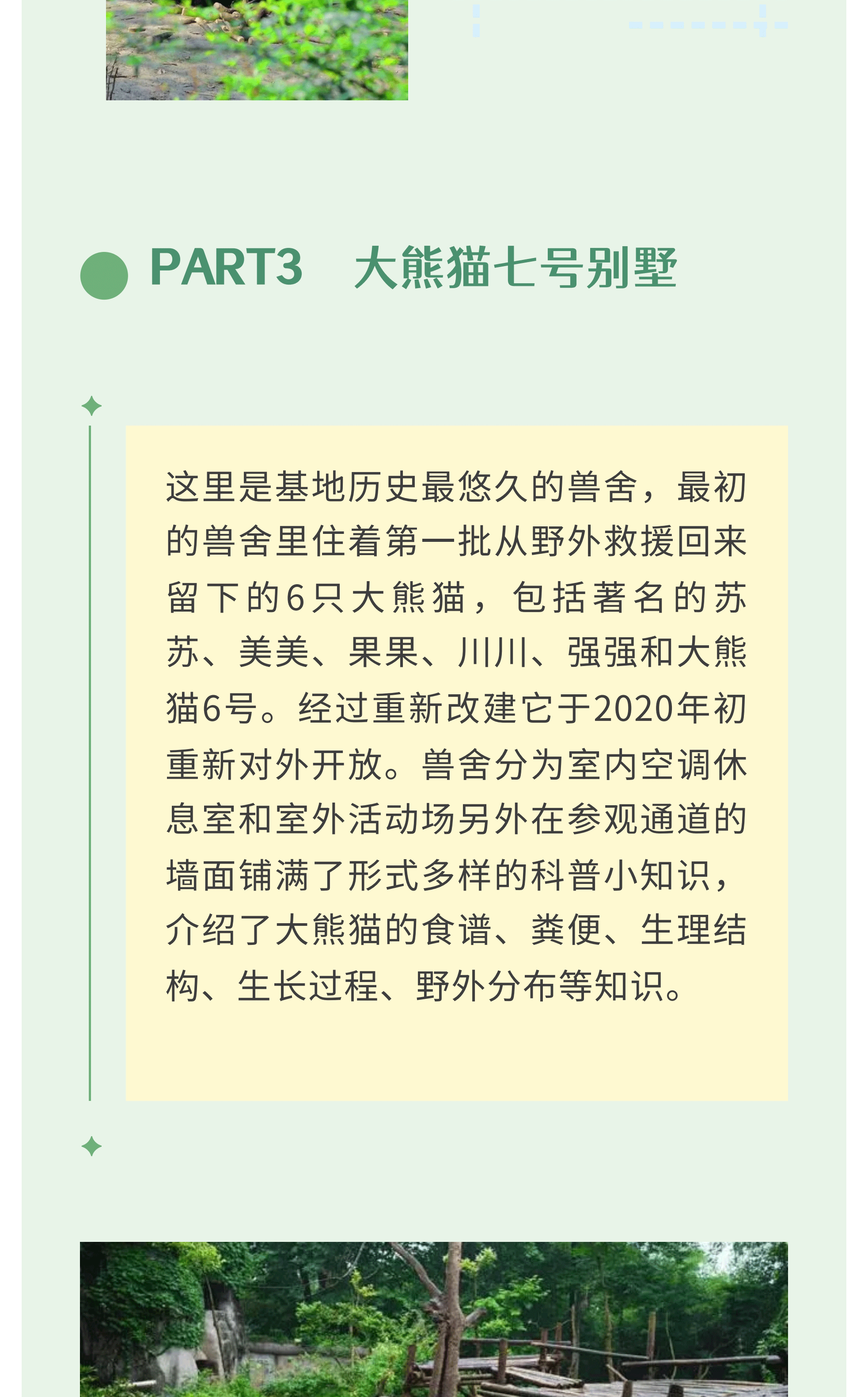 熊猫艺术家12_07