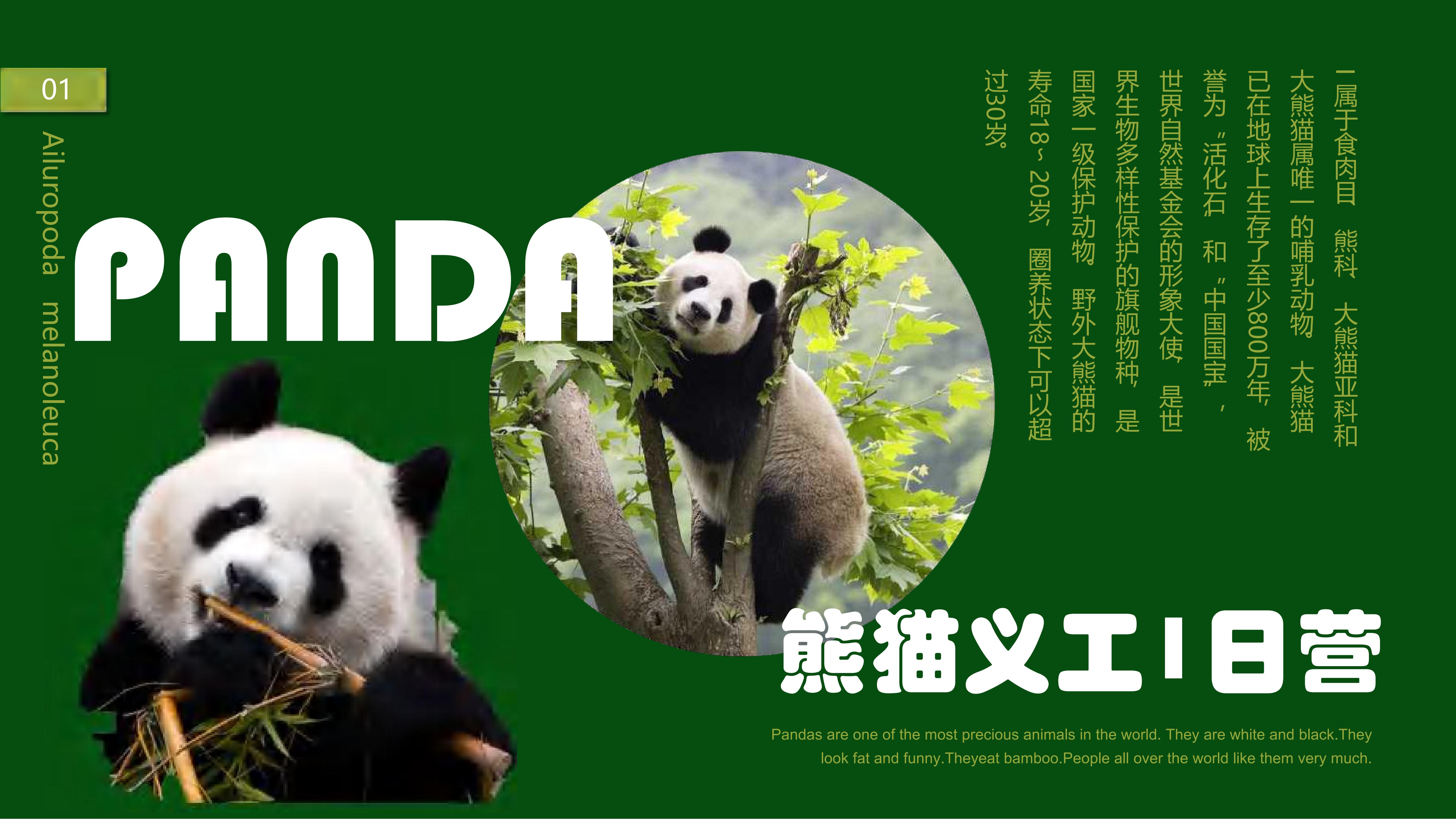 熊猫义工单日营_00