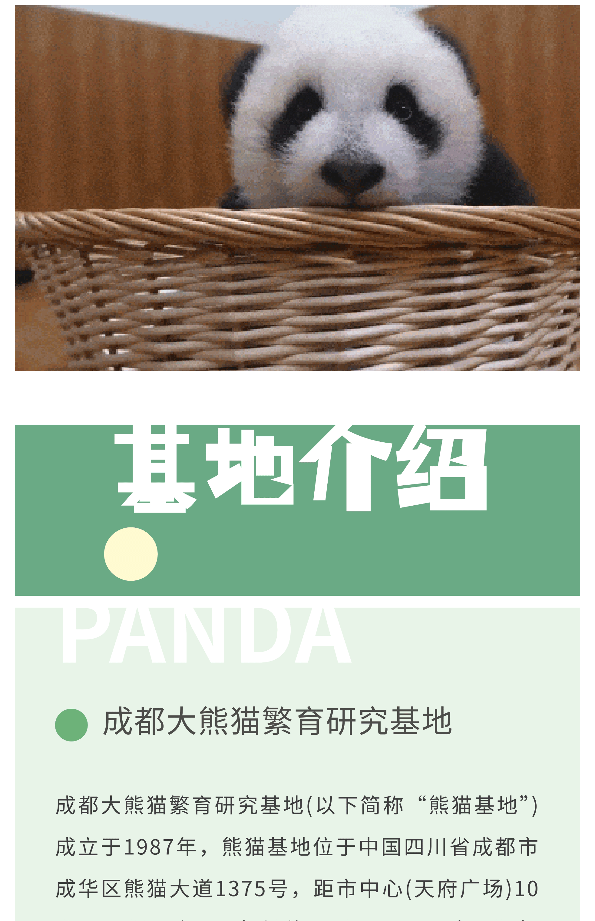 熊猫艺术家12_03