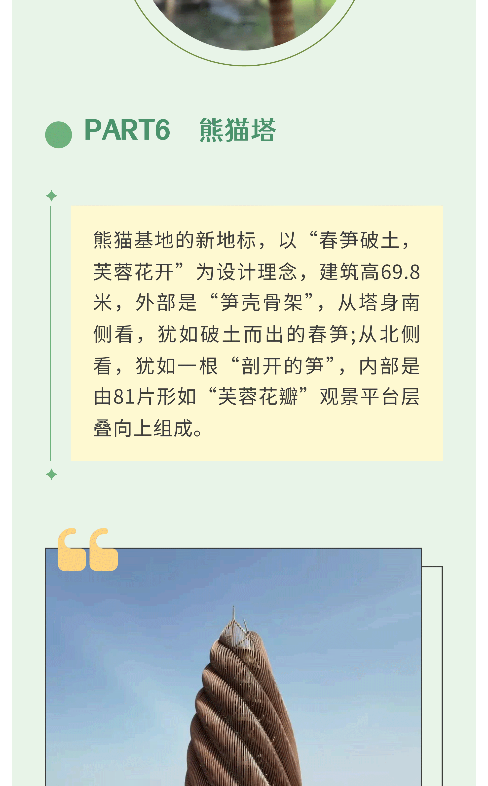 熊猫艺术家12_12
