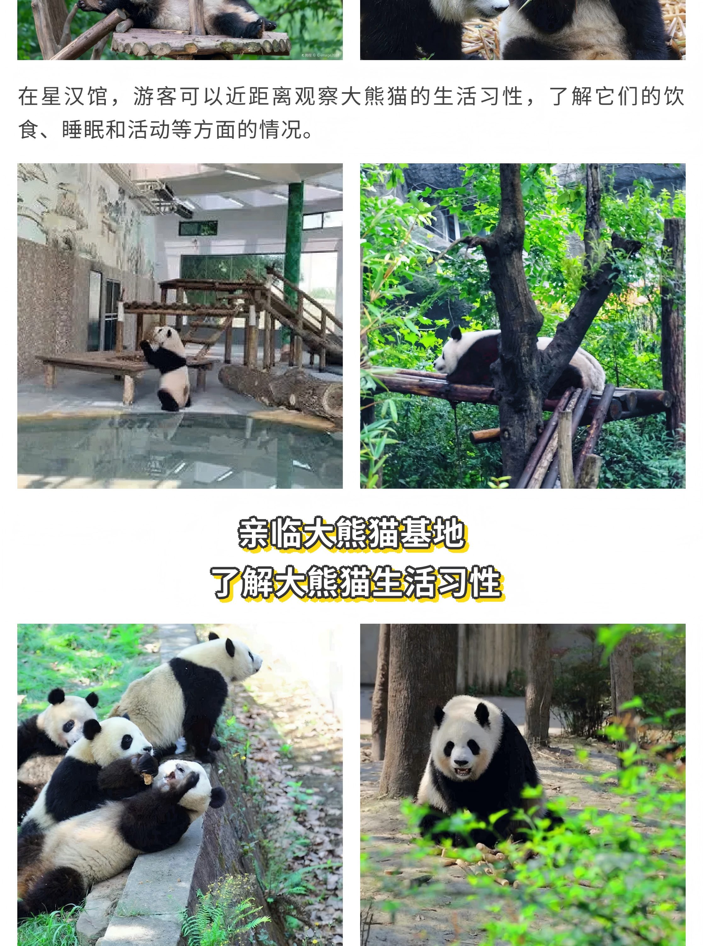星球熊猫_00_08(1)