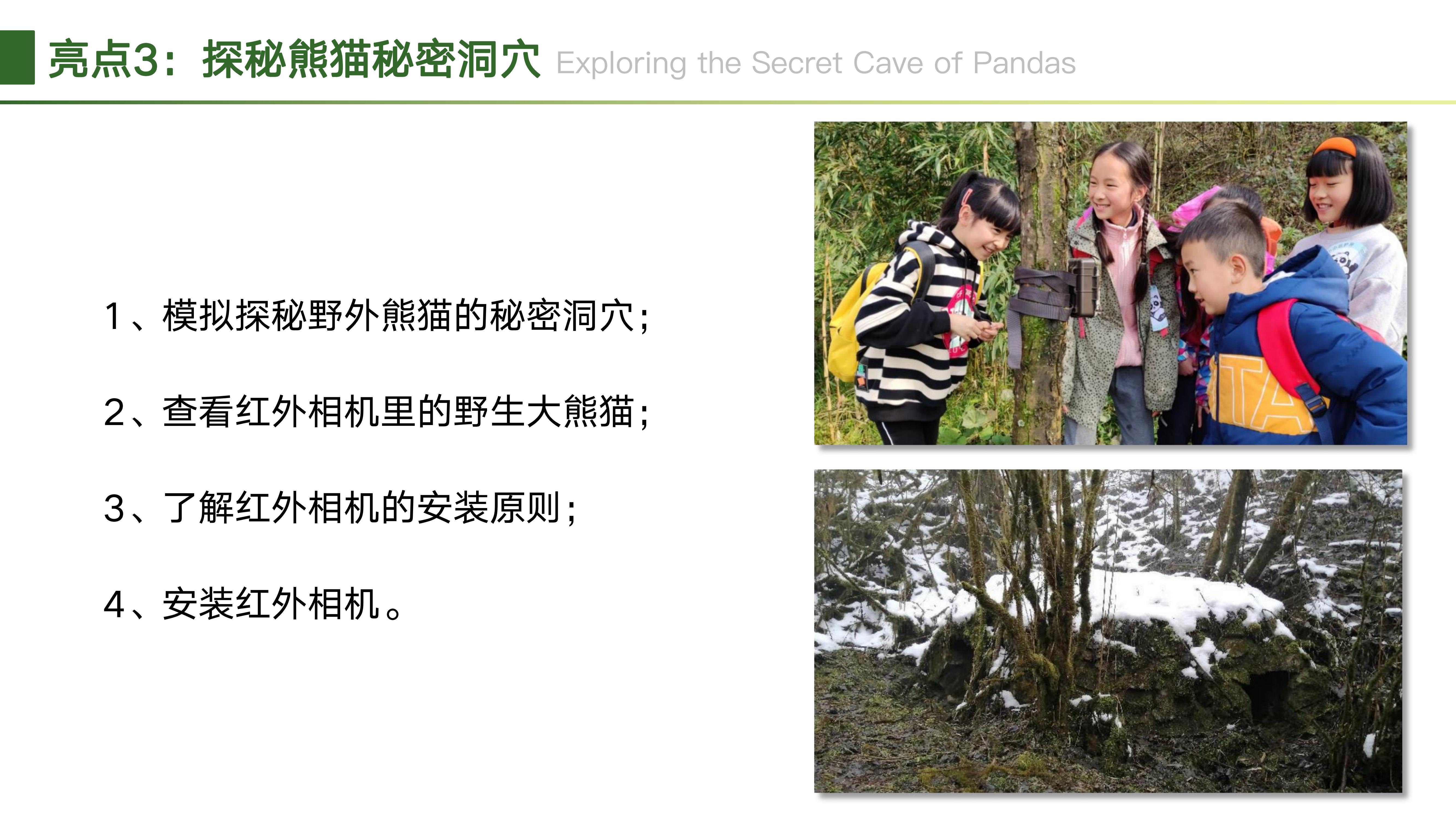 熊猫小匠研学体验基地2025_10