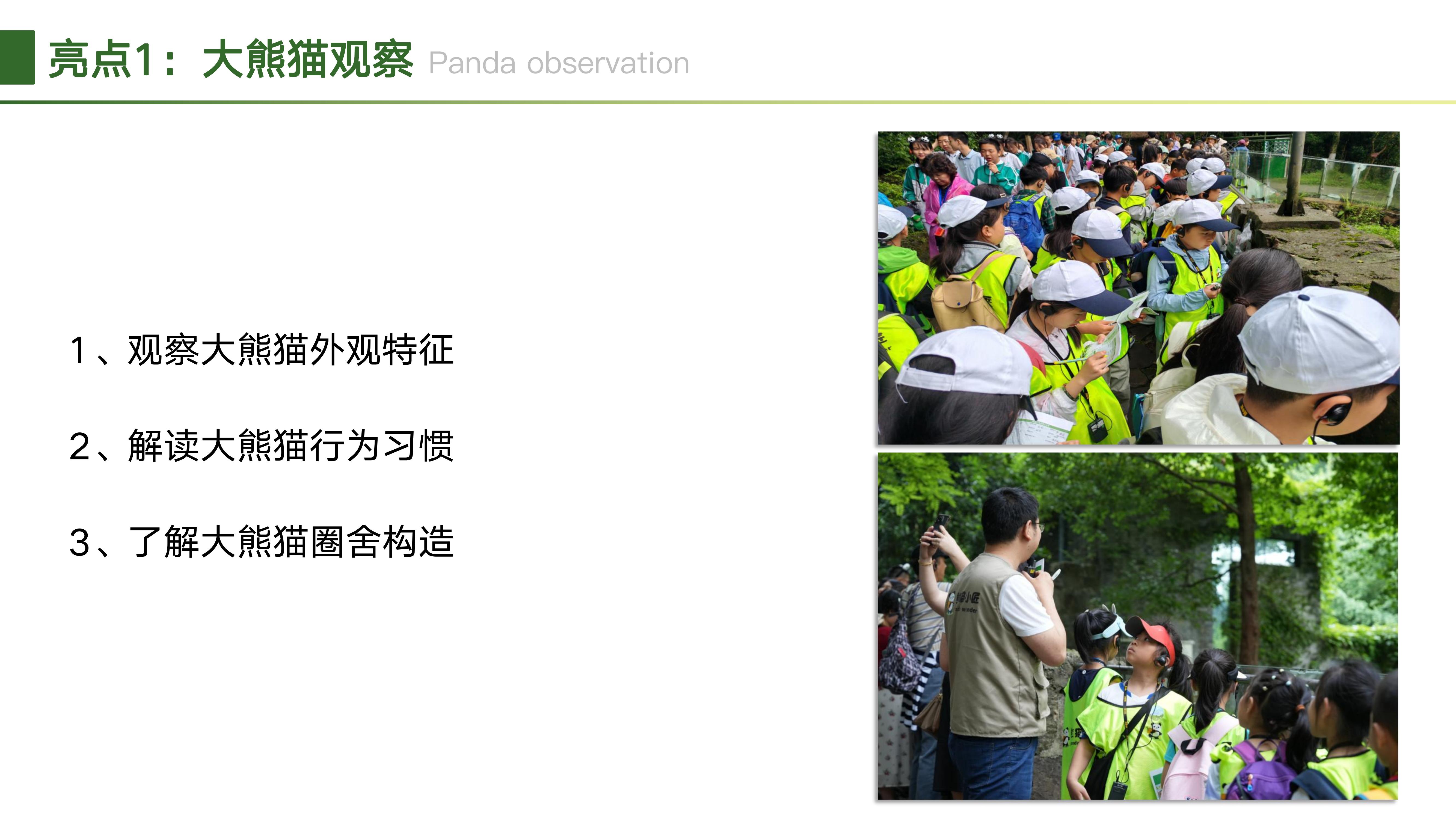 熊猫小匠研学体验基地2025_16