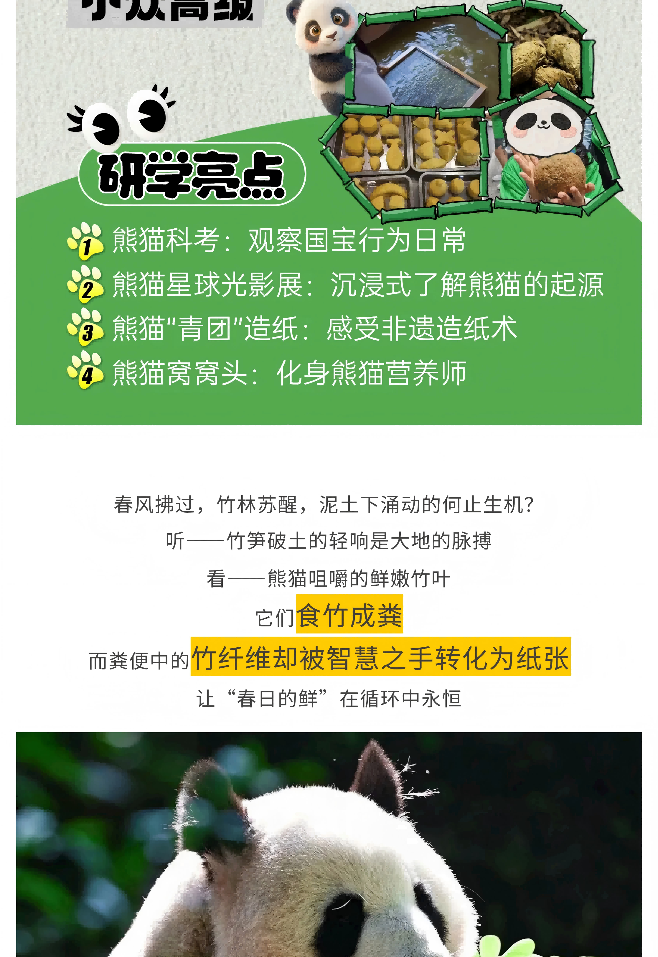 星球熊猫_00_02