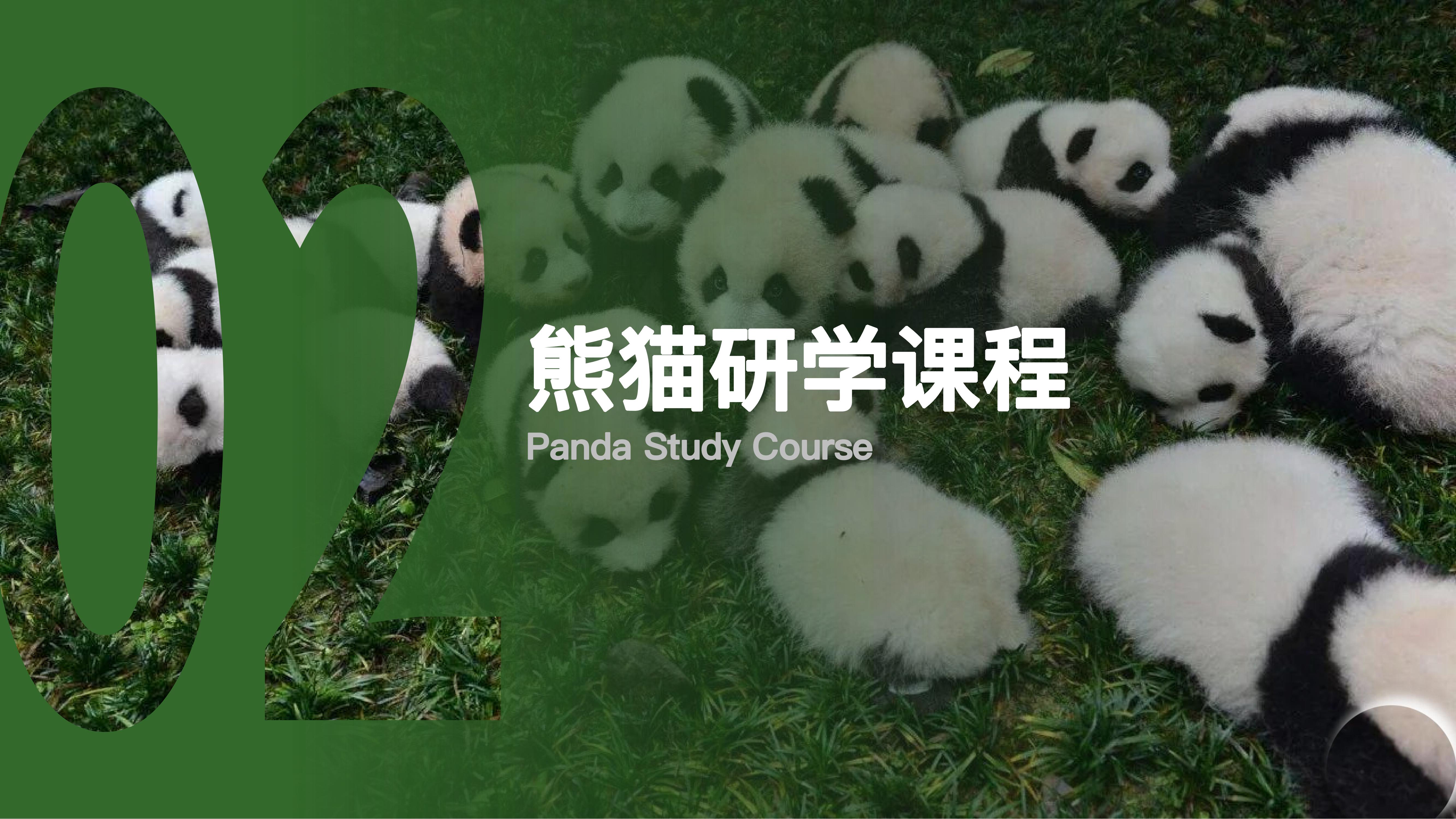 熊猫小匠研学体验基地2025_05