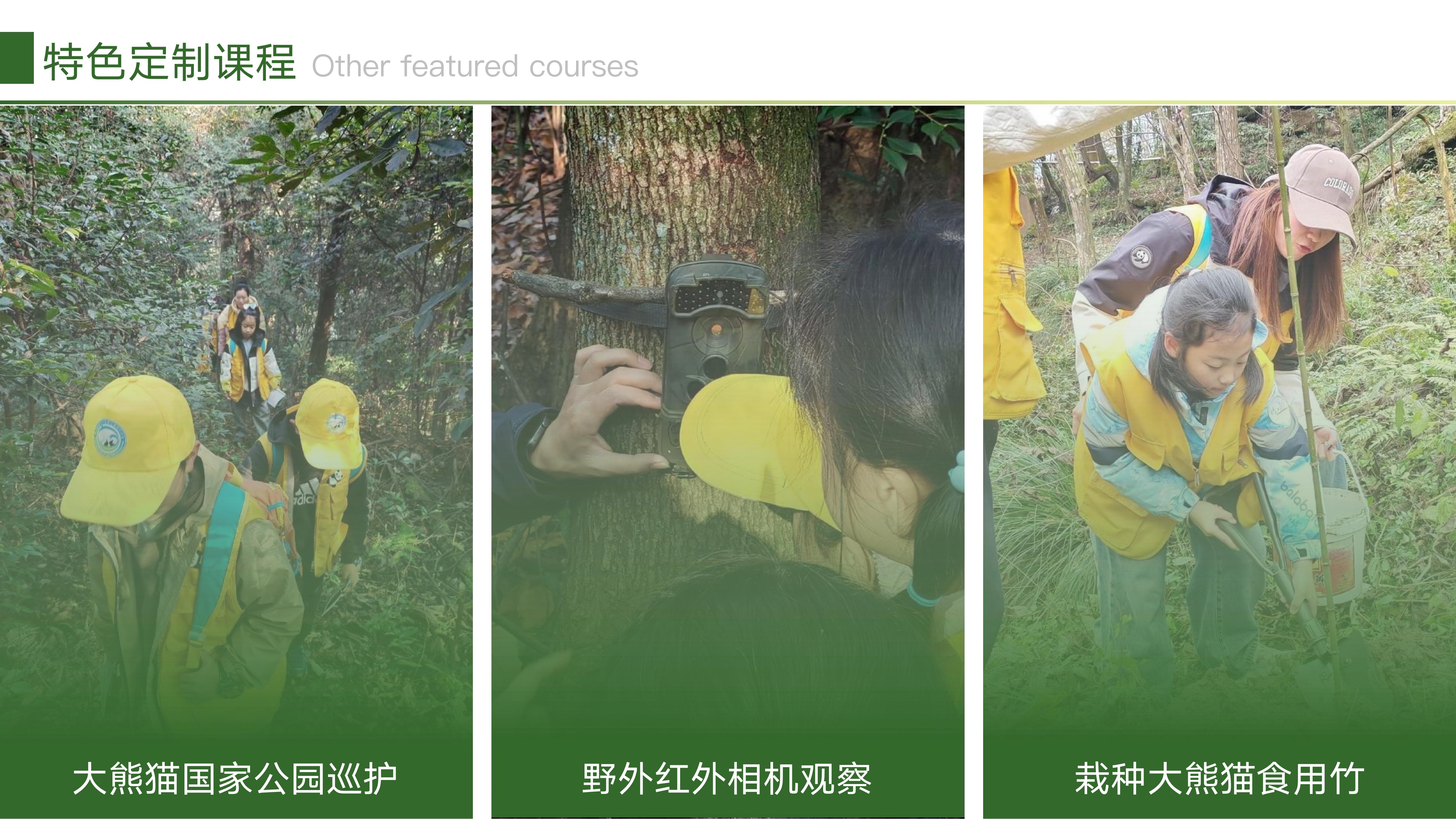熊猫小匠研学体验基地2025_24