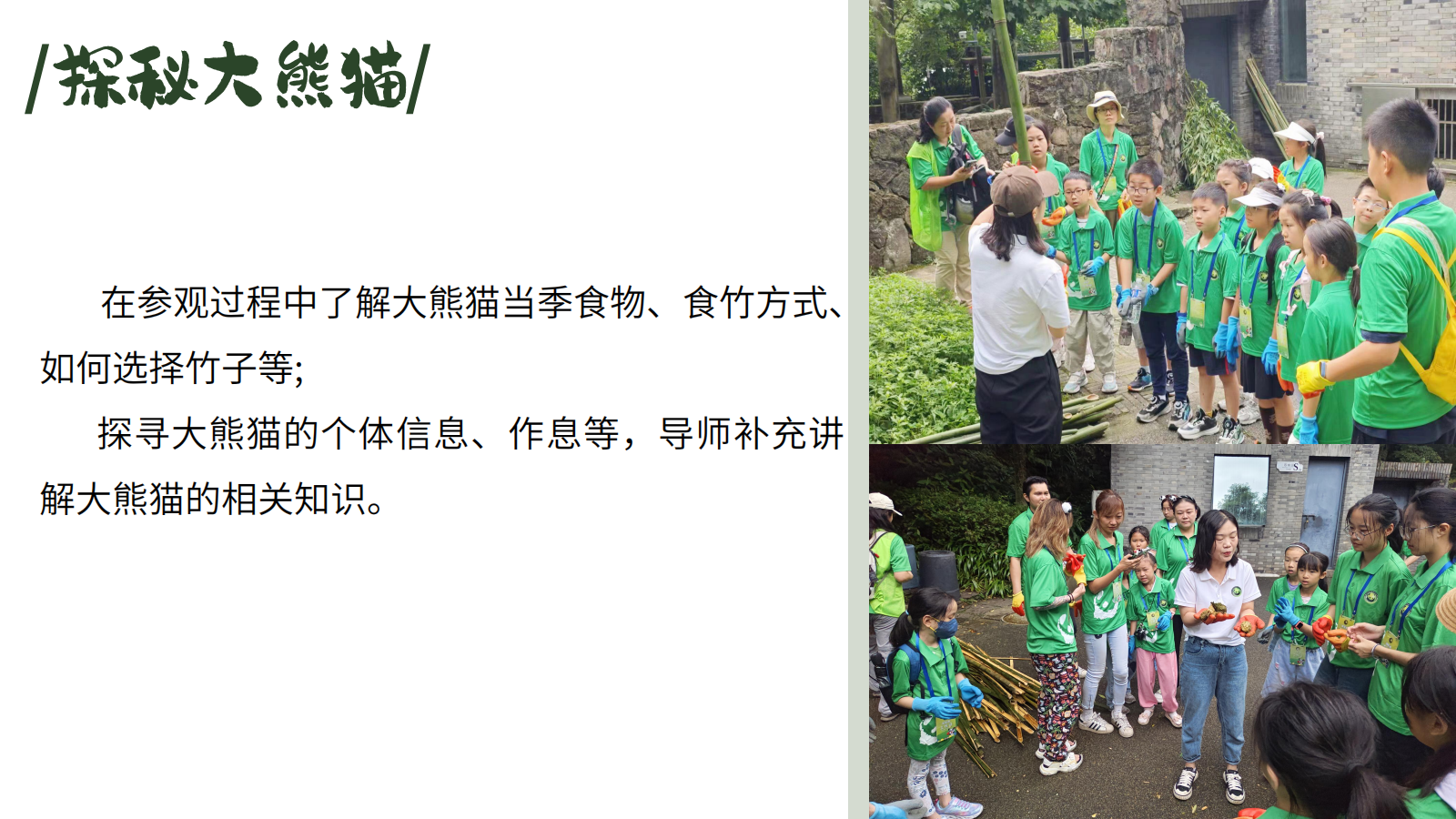 寻堰探熊猫一日营_06