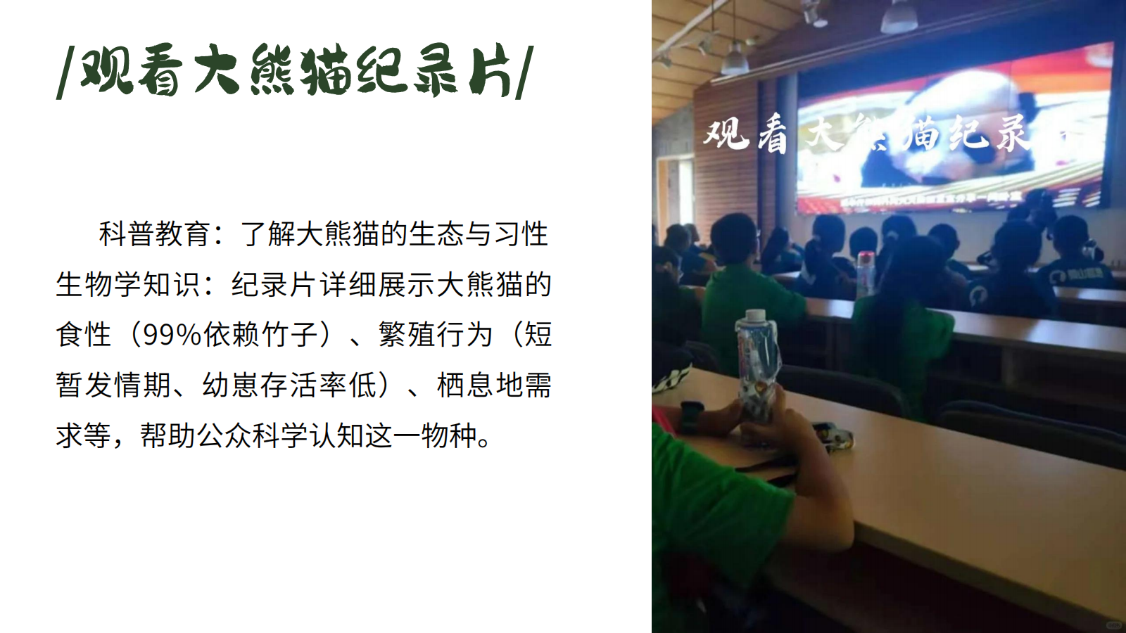 寻堰探熊猫一日营_10