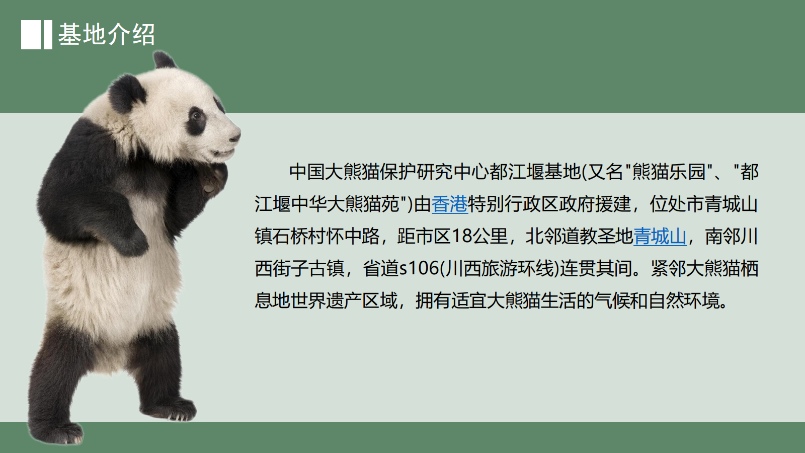 寻堰探熊猫一日营_05