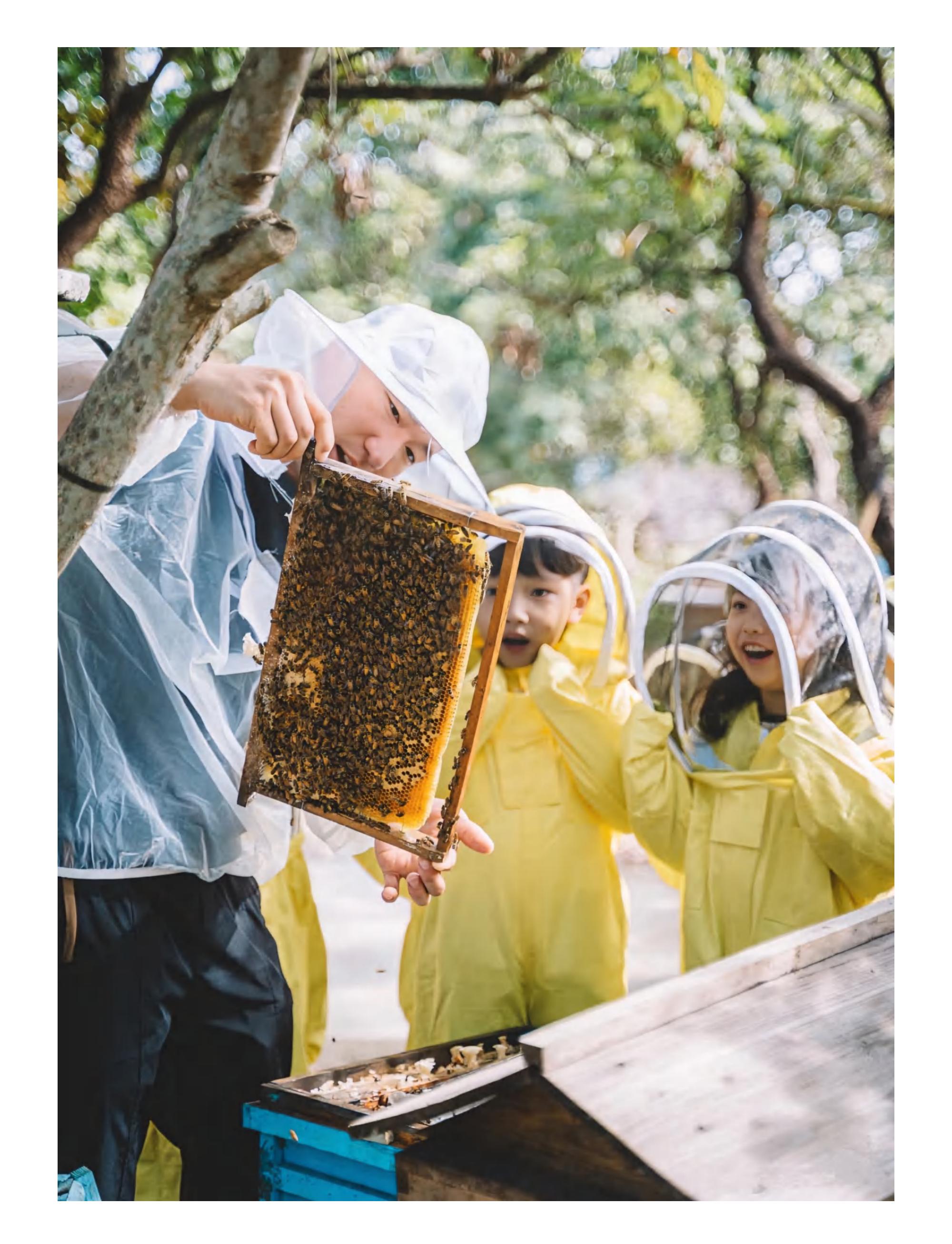 小小养蜂人·甜蜜来袭_08