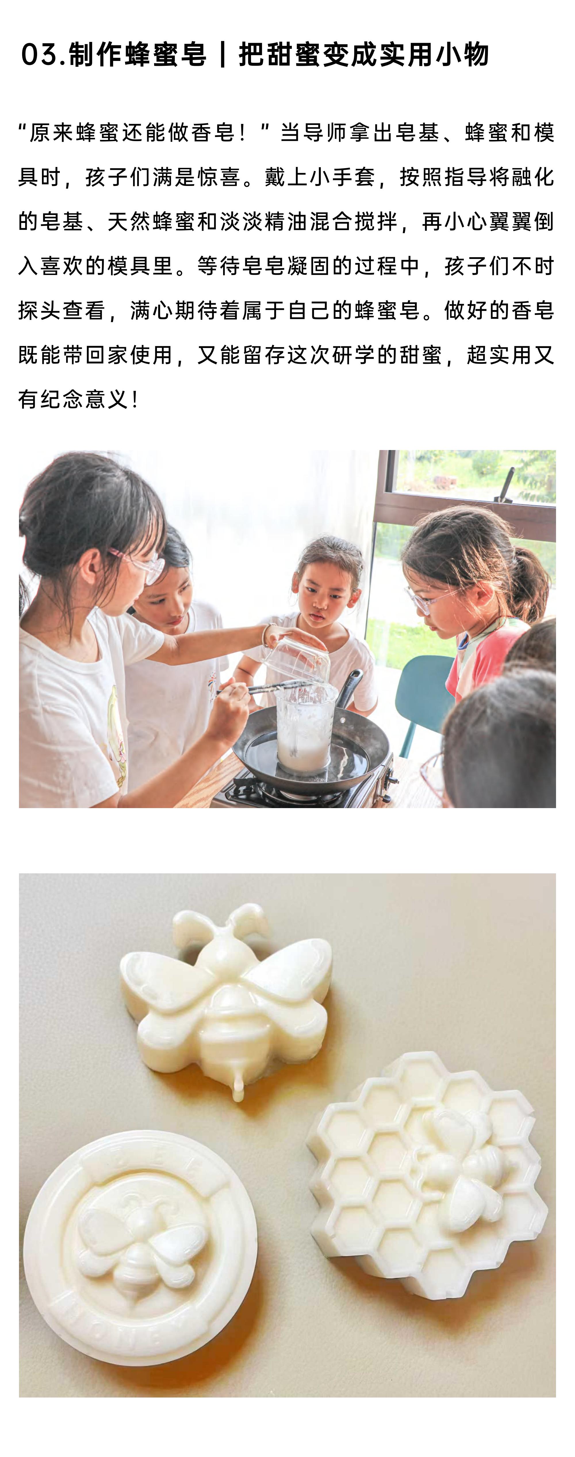 小小养蜂人·甜蜜来袭_14