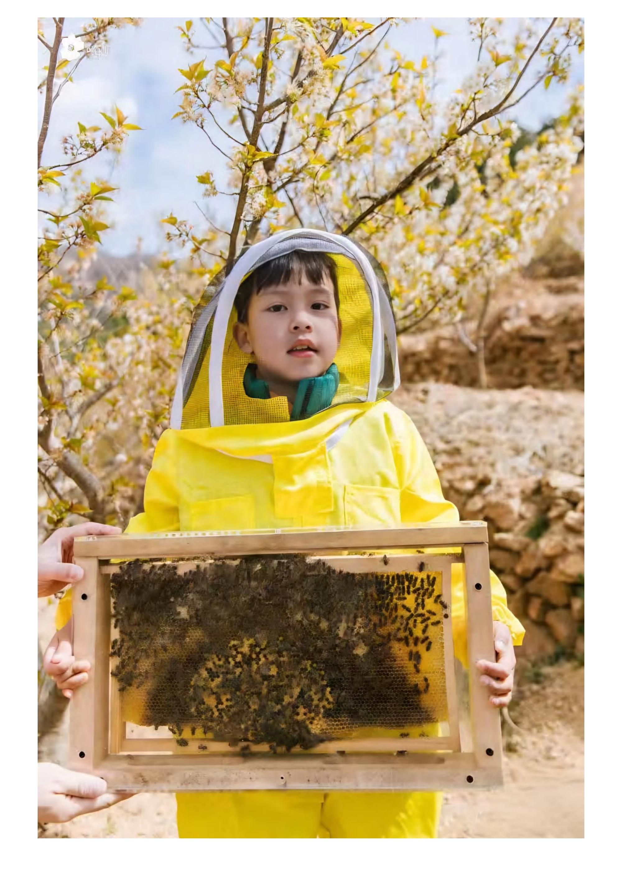 小小养蜂人·甜蜜来袭_04