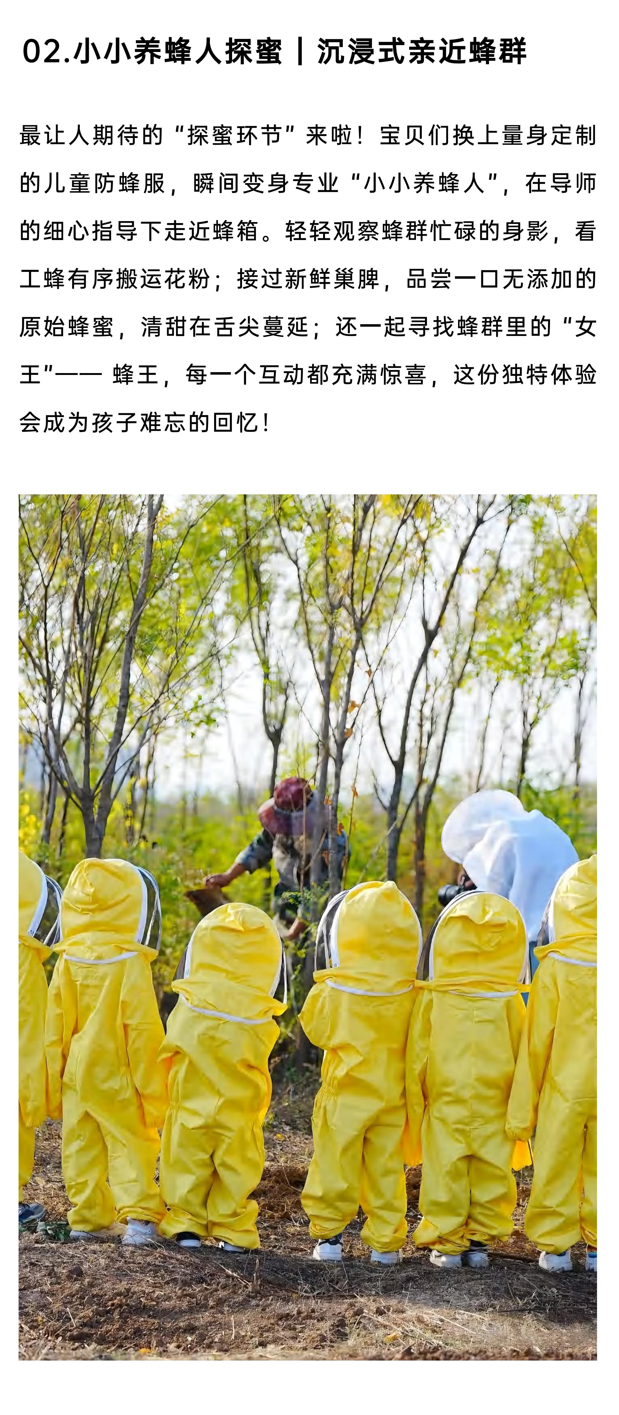 小小养蜂人·甜蜜来袭_11