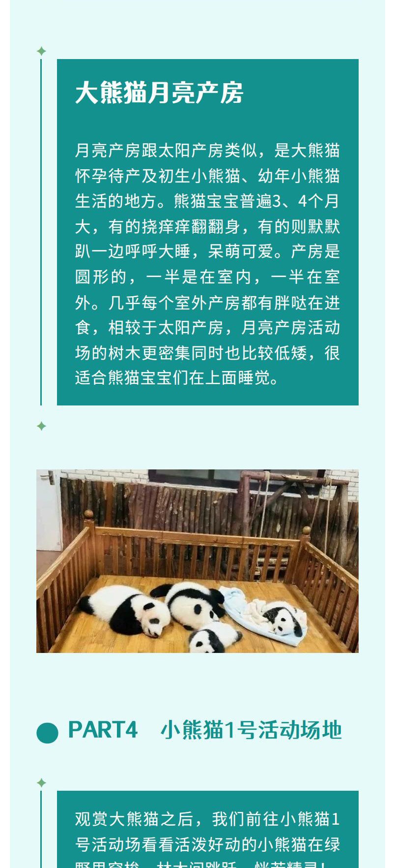 熊猫美食家一日（2.26新）_01_08