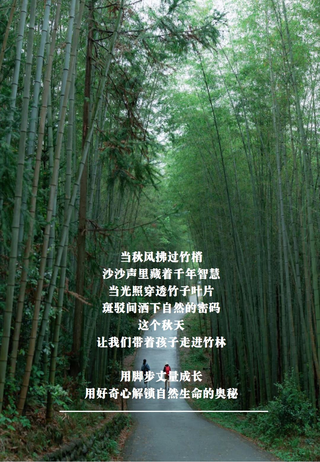 “竹”梦环游记·彭州阳平玄观徒步_13