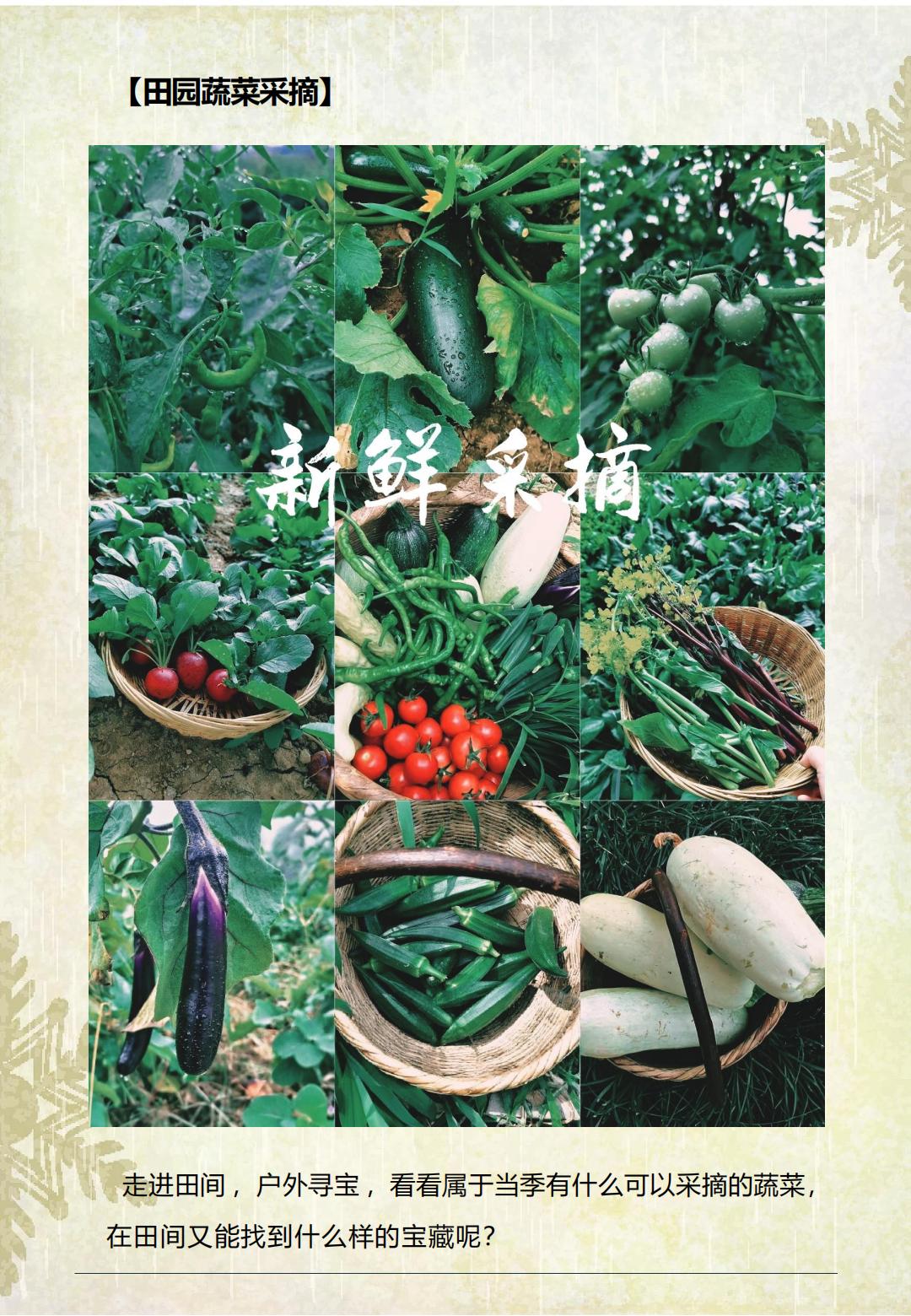 2025【荒野厨房】_06