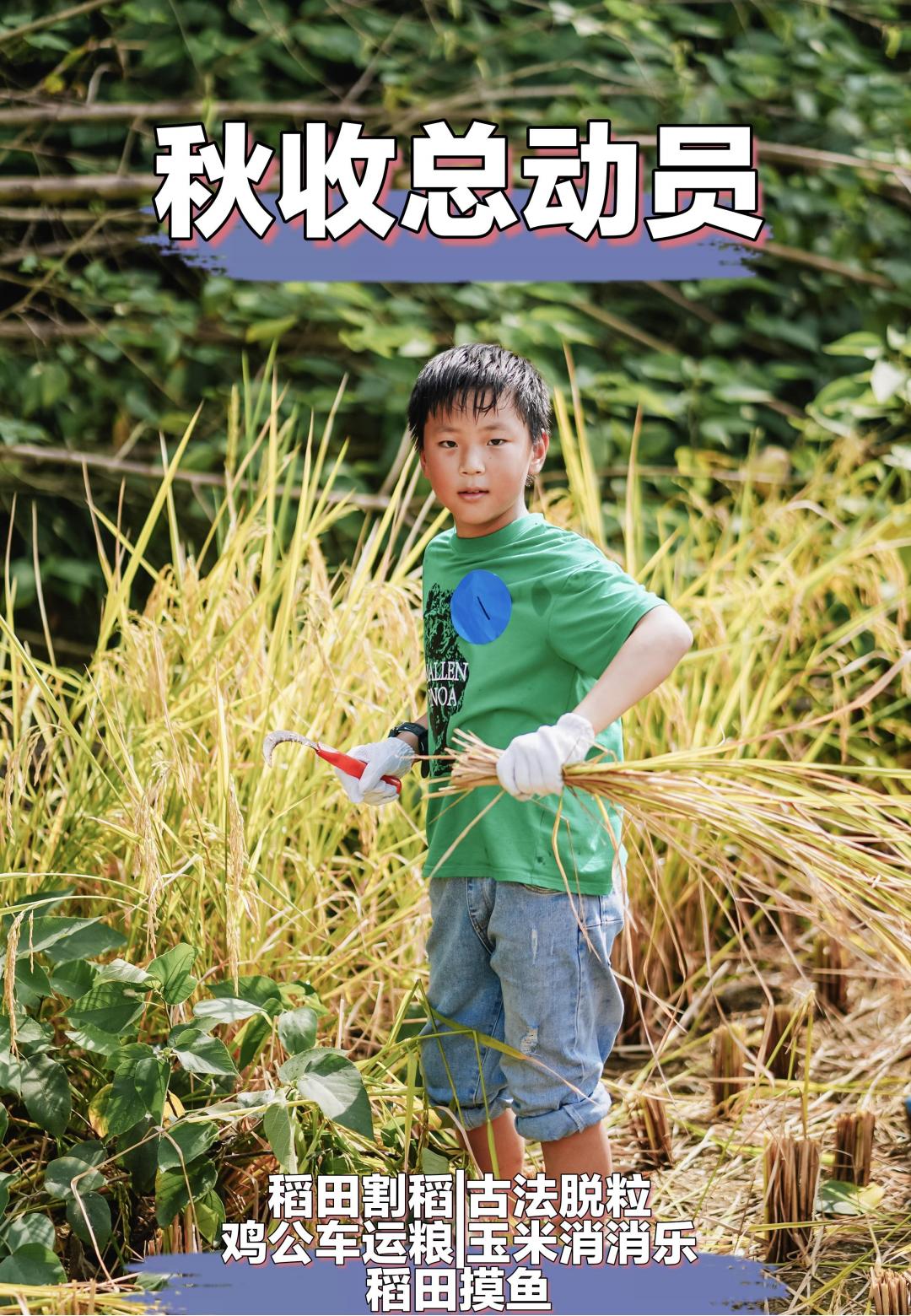 秋收总动员_01
