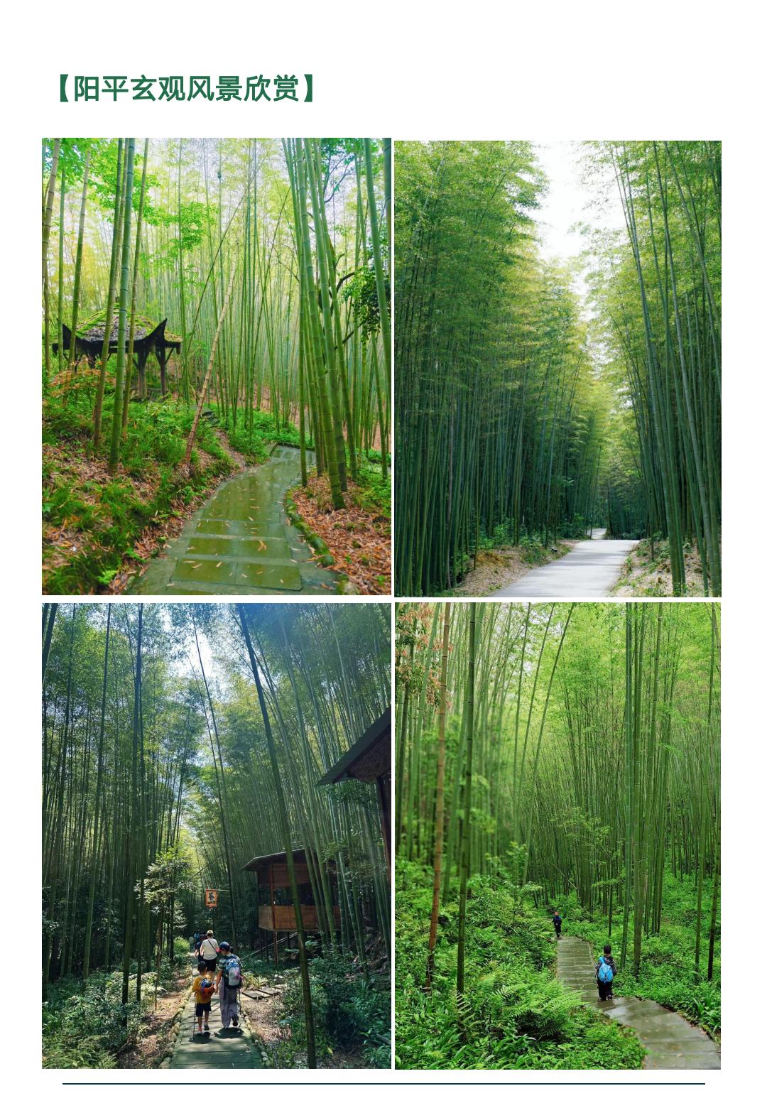 “竹”梦环游记·彭州阳平玄观徒步_03