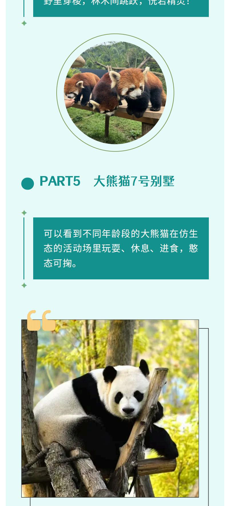 熊猫美食家一日（2.26新）_01_09