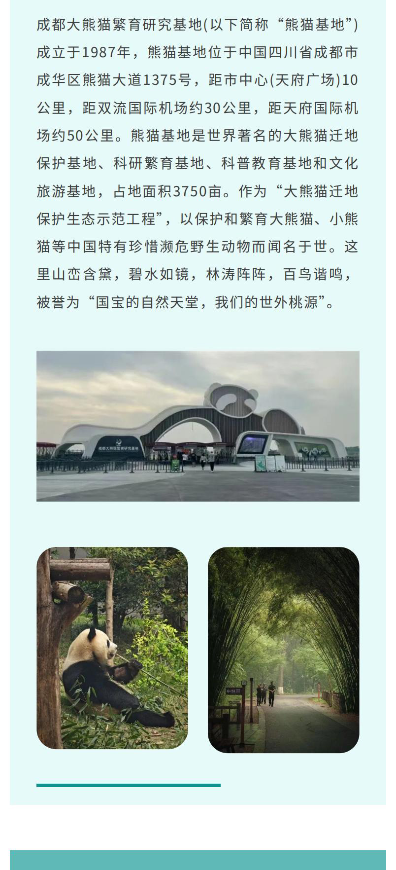 熊猫美食家一日（2.26新）_01_03