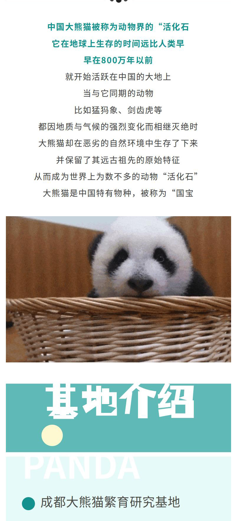 熊猫美食家一日（2.26新）_01_02