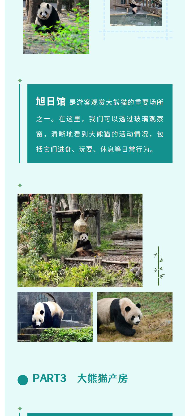 熊猫美食家一日（2.26新）_01_06