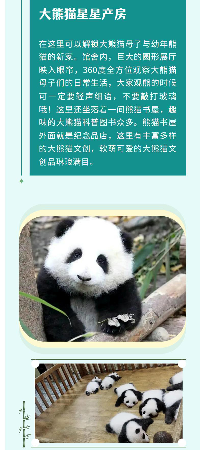 熊猫美食家一日（2.26新）_01_07