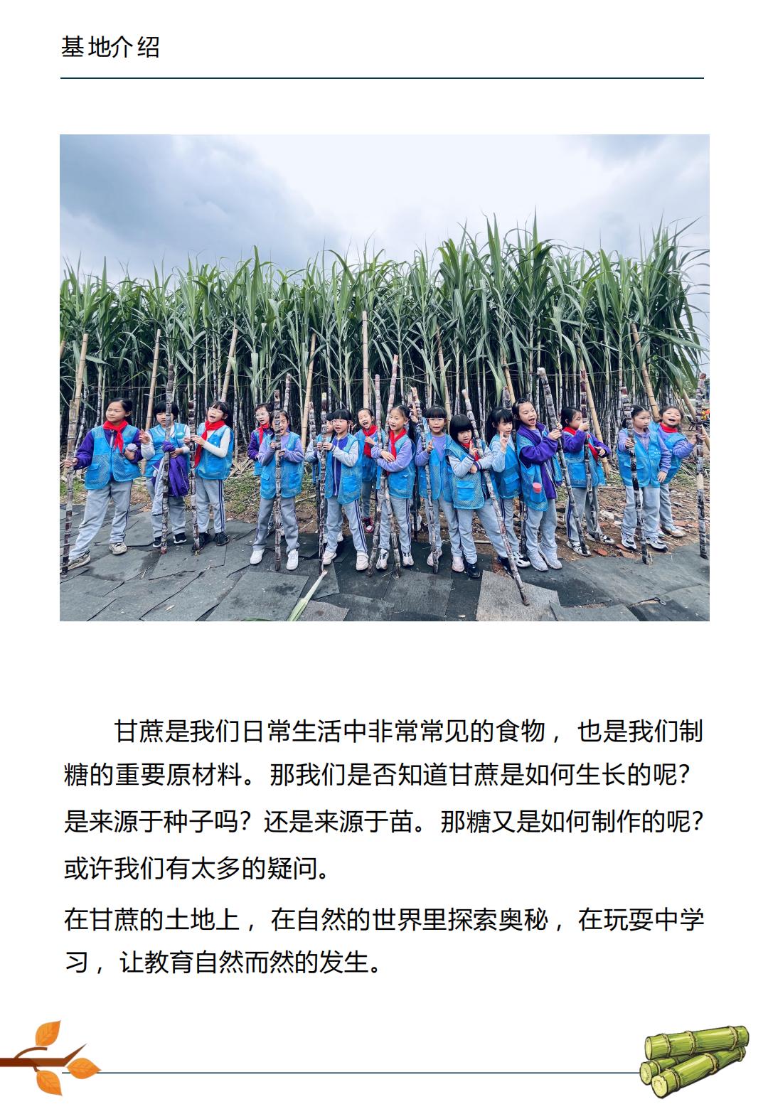 “蔗”就厉害了_02