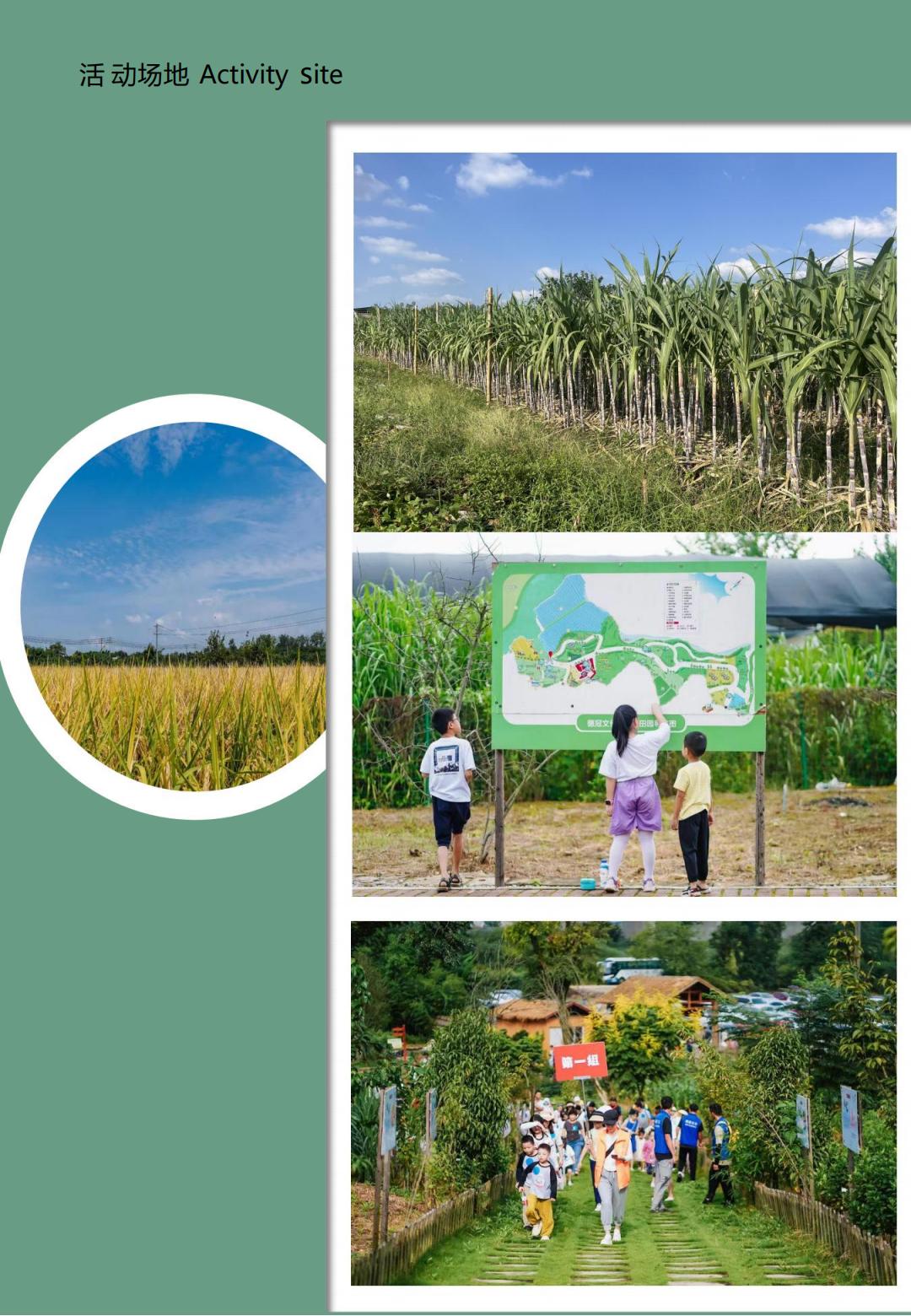 “蔗”就厉害了_03