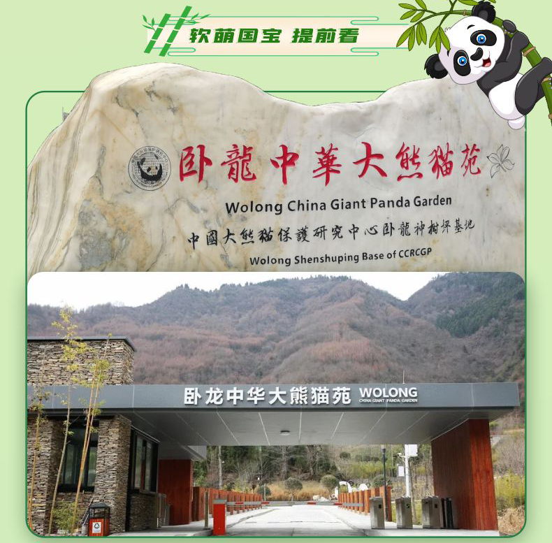 0b718b0d-ba0d-4d41-a203-6d346770837e