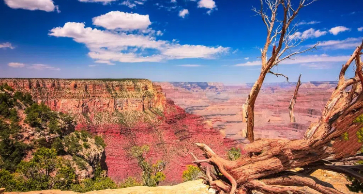 cc52c1ee-a5ad-4813-b351-ddc063e61ec6