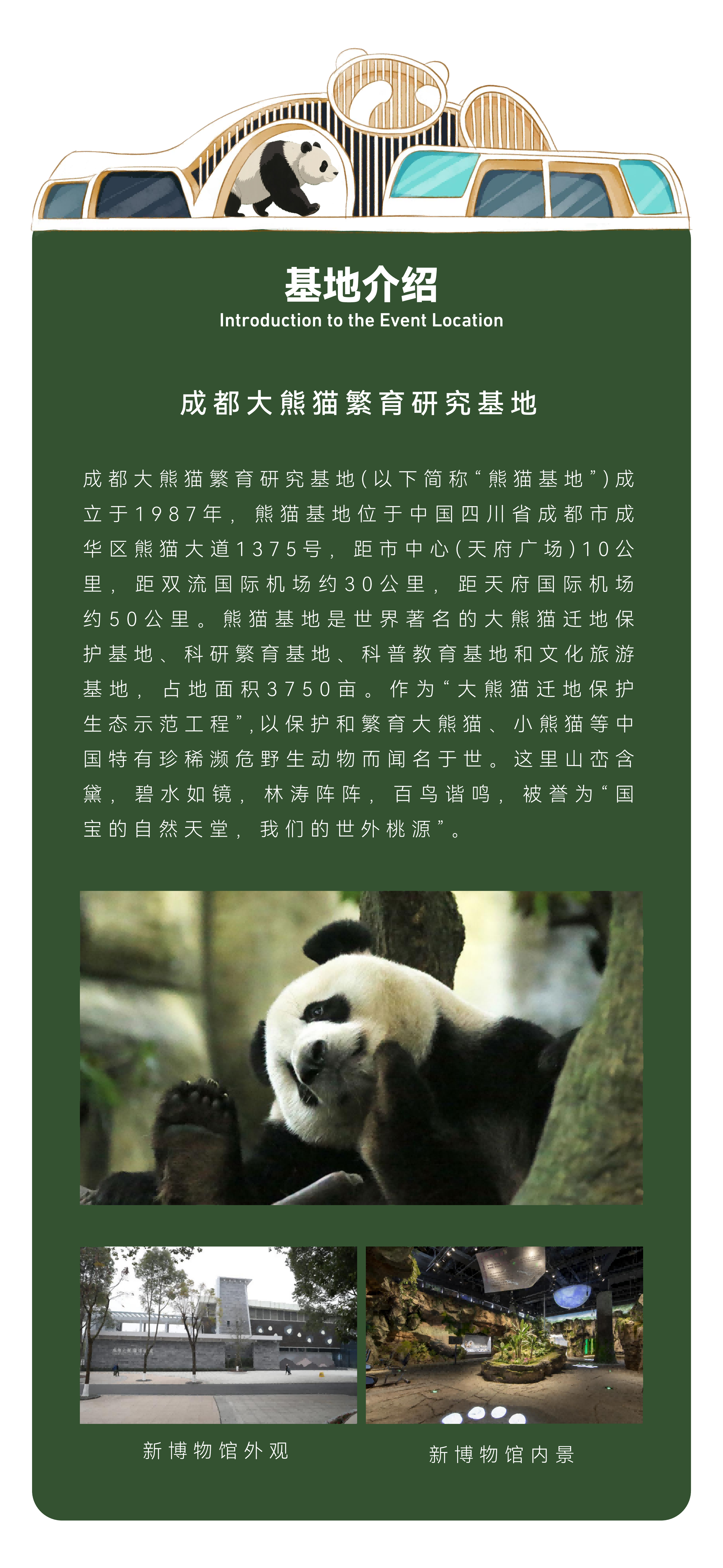 熊猫侦探_05