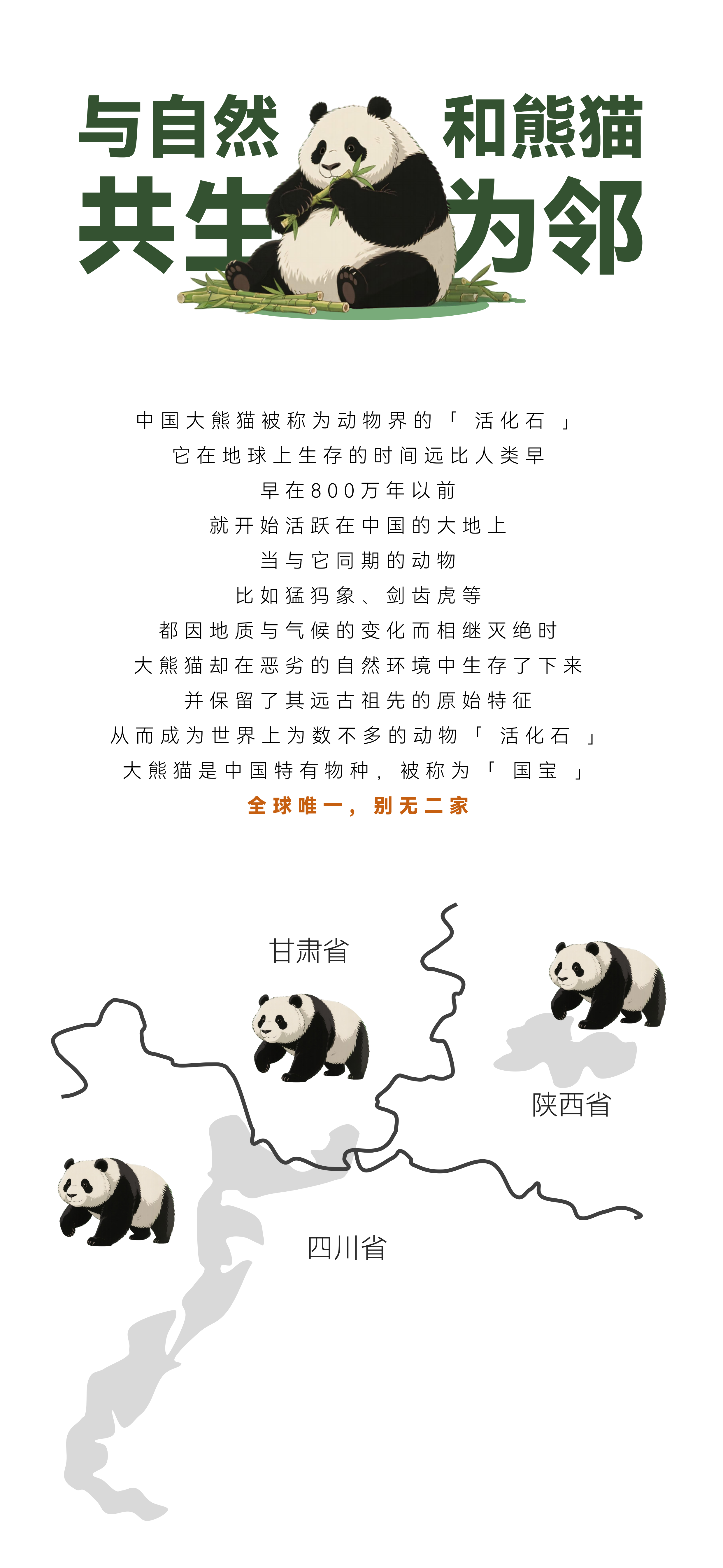 熊猫营养师半天20250721_03