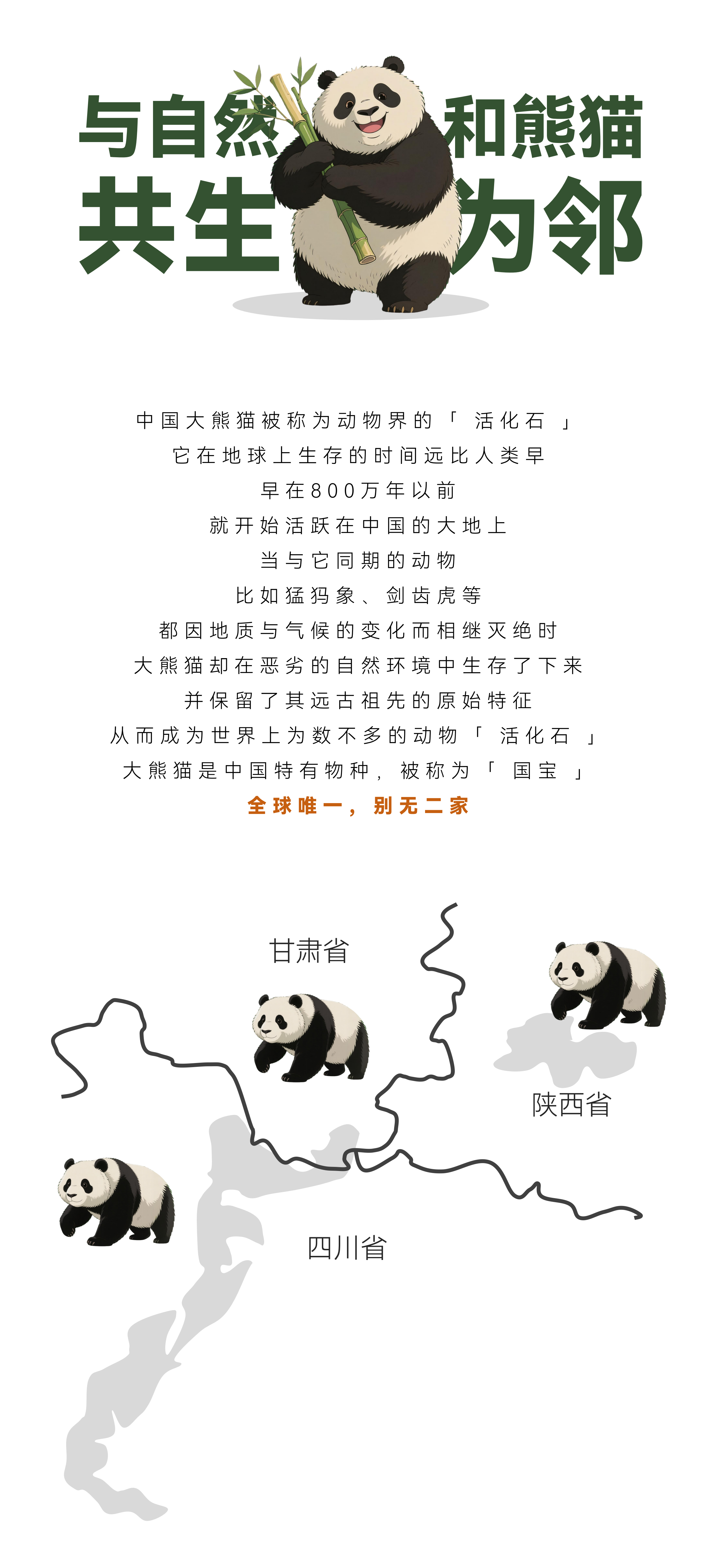 熊猫侦探_03