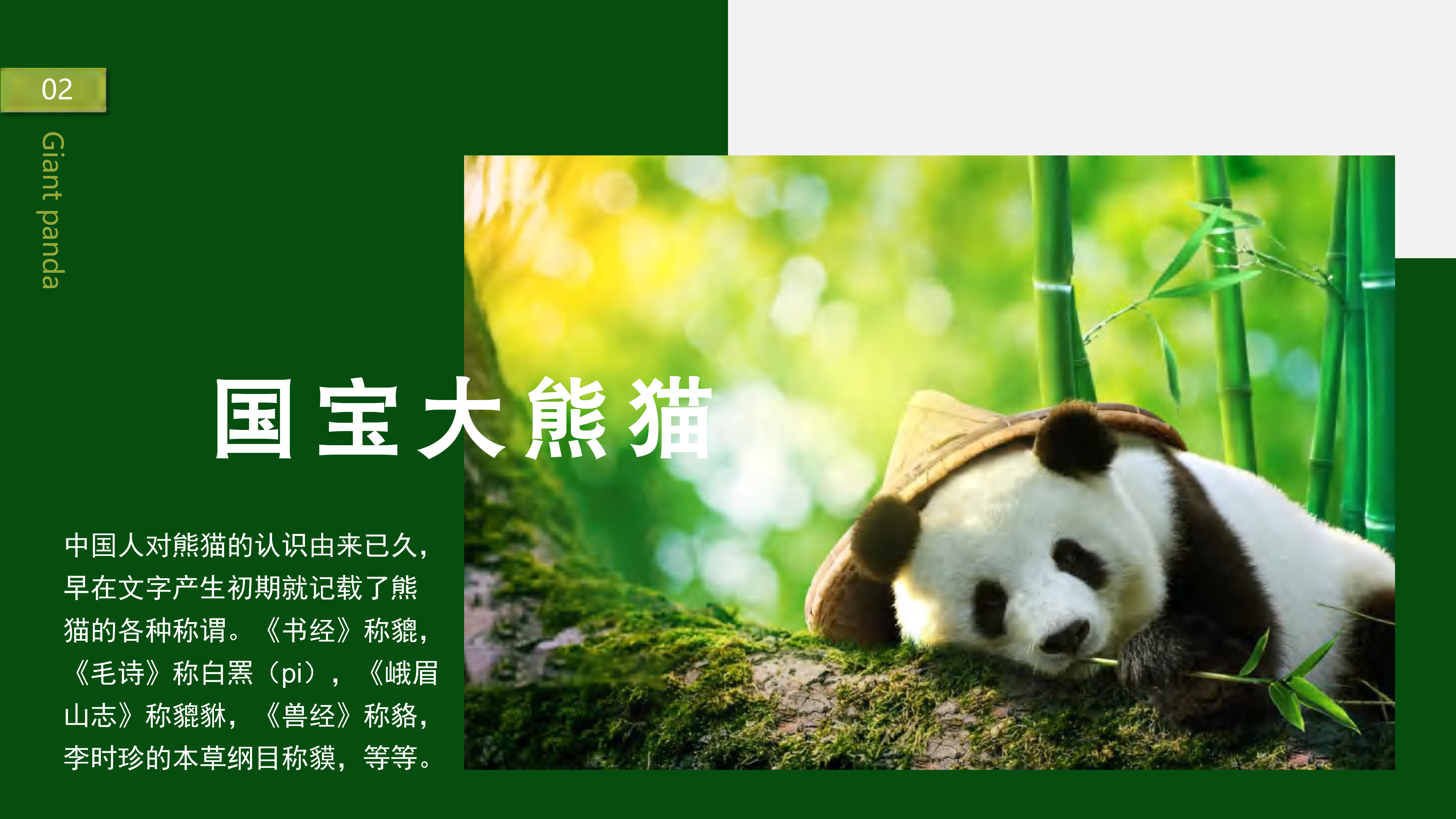 熊猫义工单日营-20263版_02 熊猫义工单日营-20263版_02