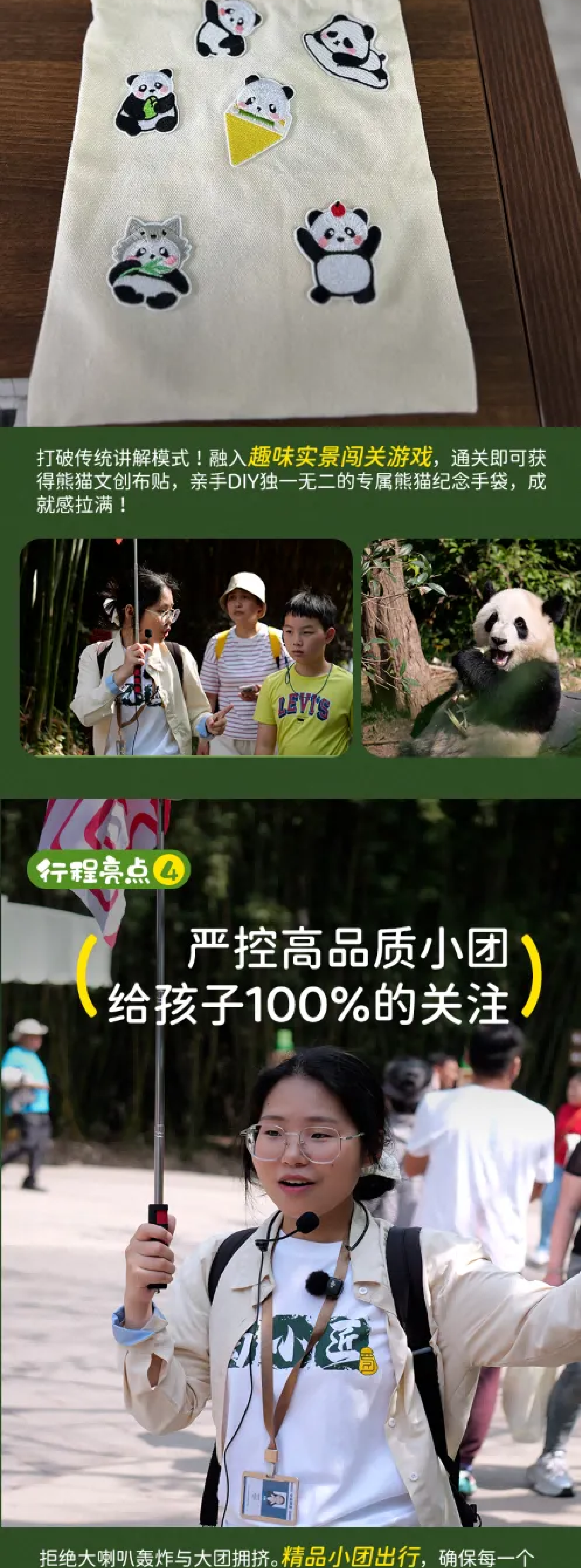大熊猫护卫队_04
