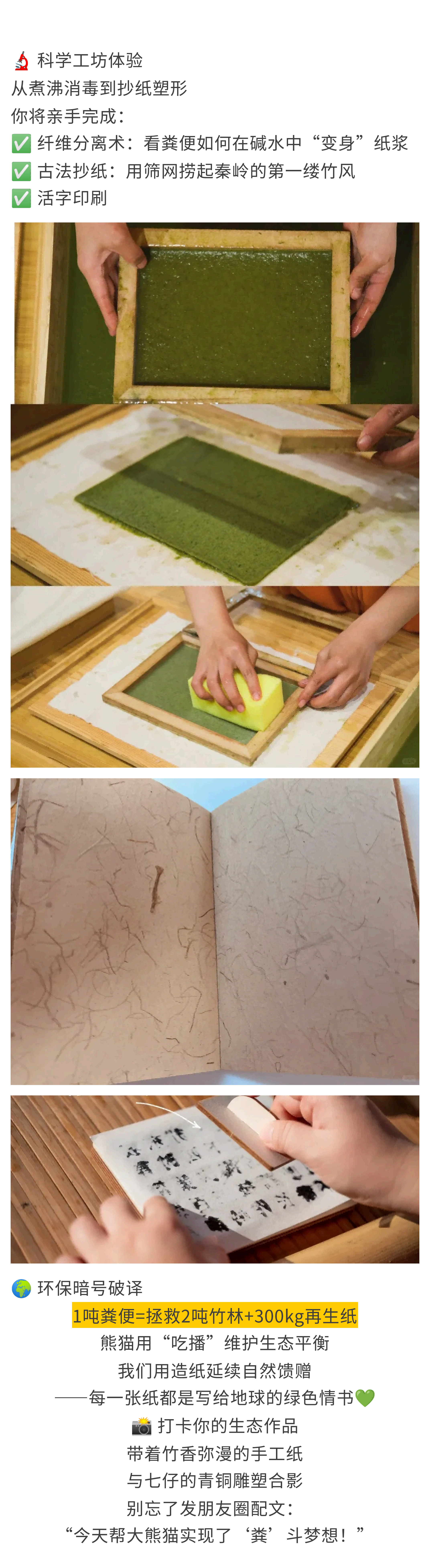 熊猫造纸家_09 熊猫造纸家_09